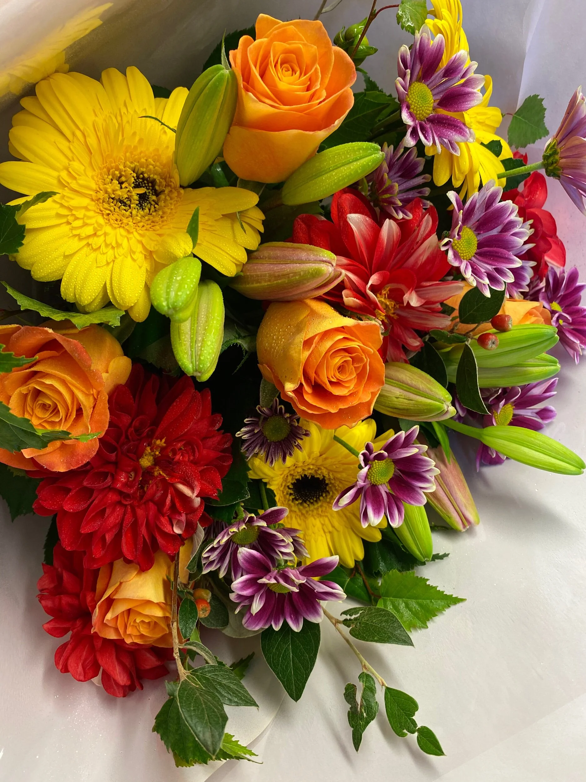 52B2017F-846E-4D07-82C0-3BA5E032A191