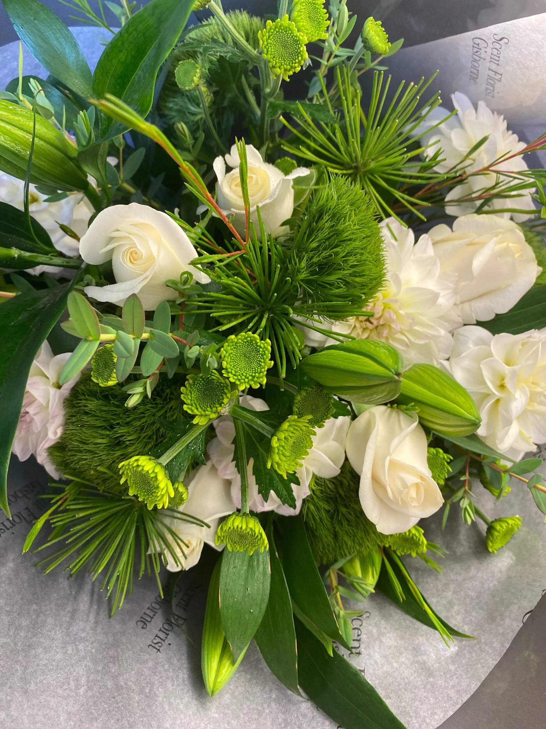 6E0ADDCF-216B-46B9-97BE-2203D3E302F7