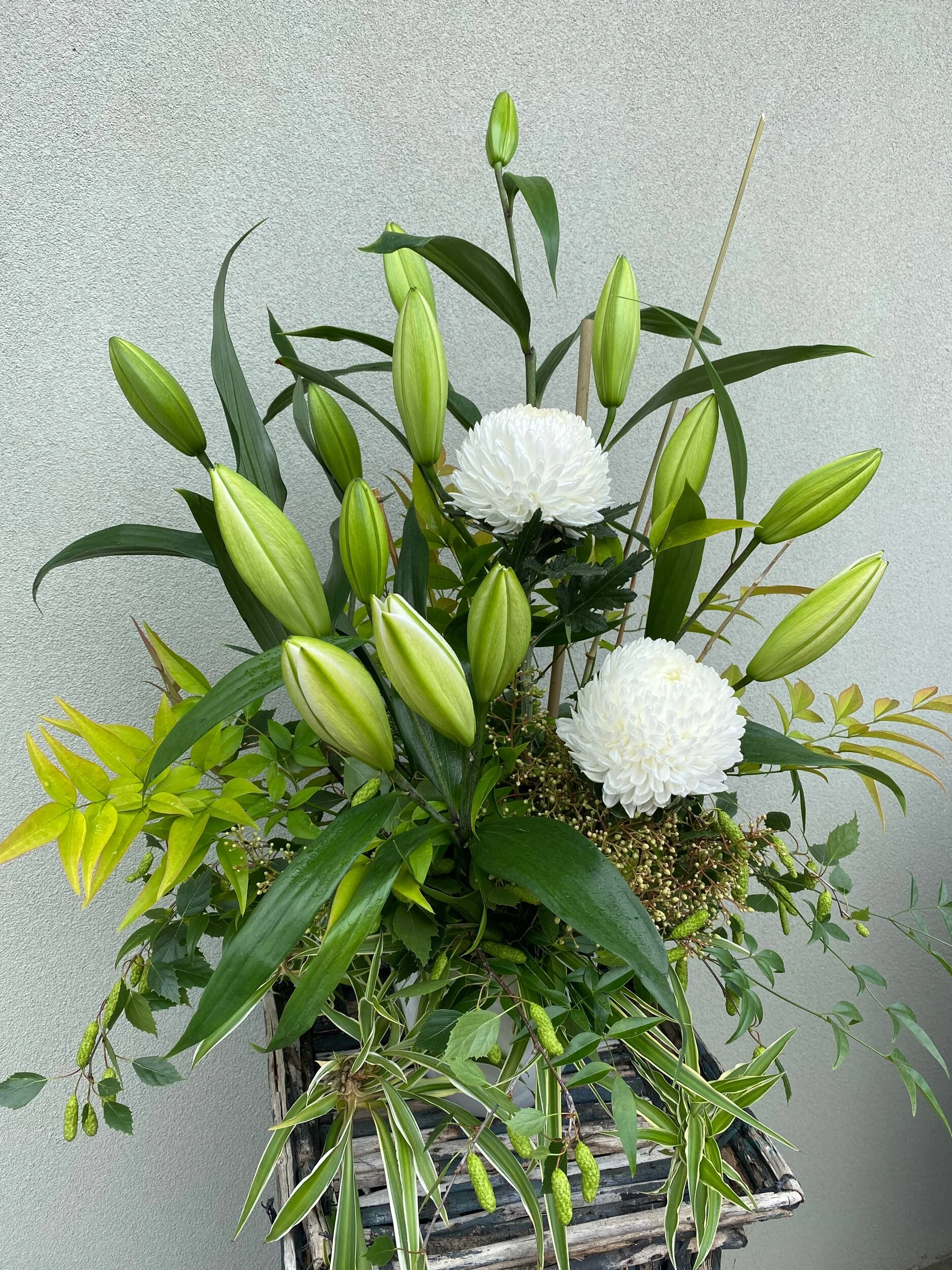 58548475-2D8E-4679-8EE6-F93722E36535