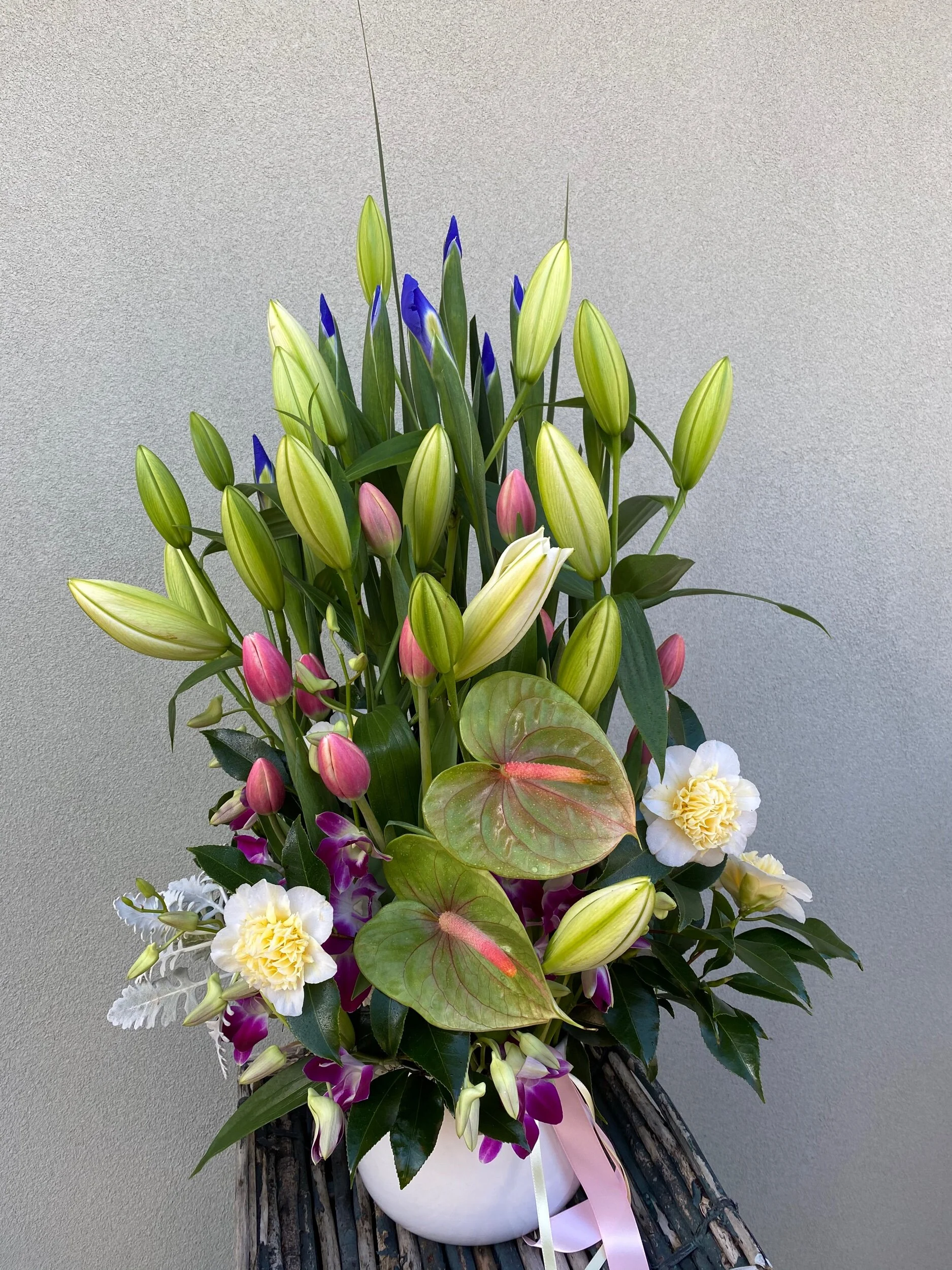 B36F45E3-A118-46F5-B892-5834C3A60A5E