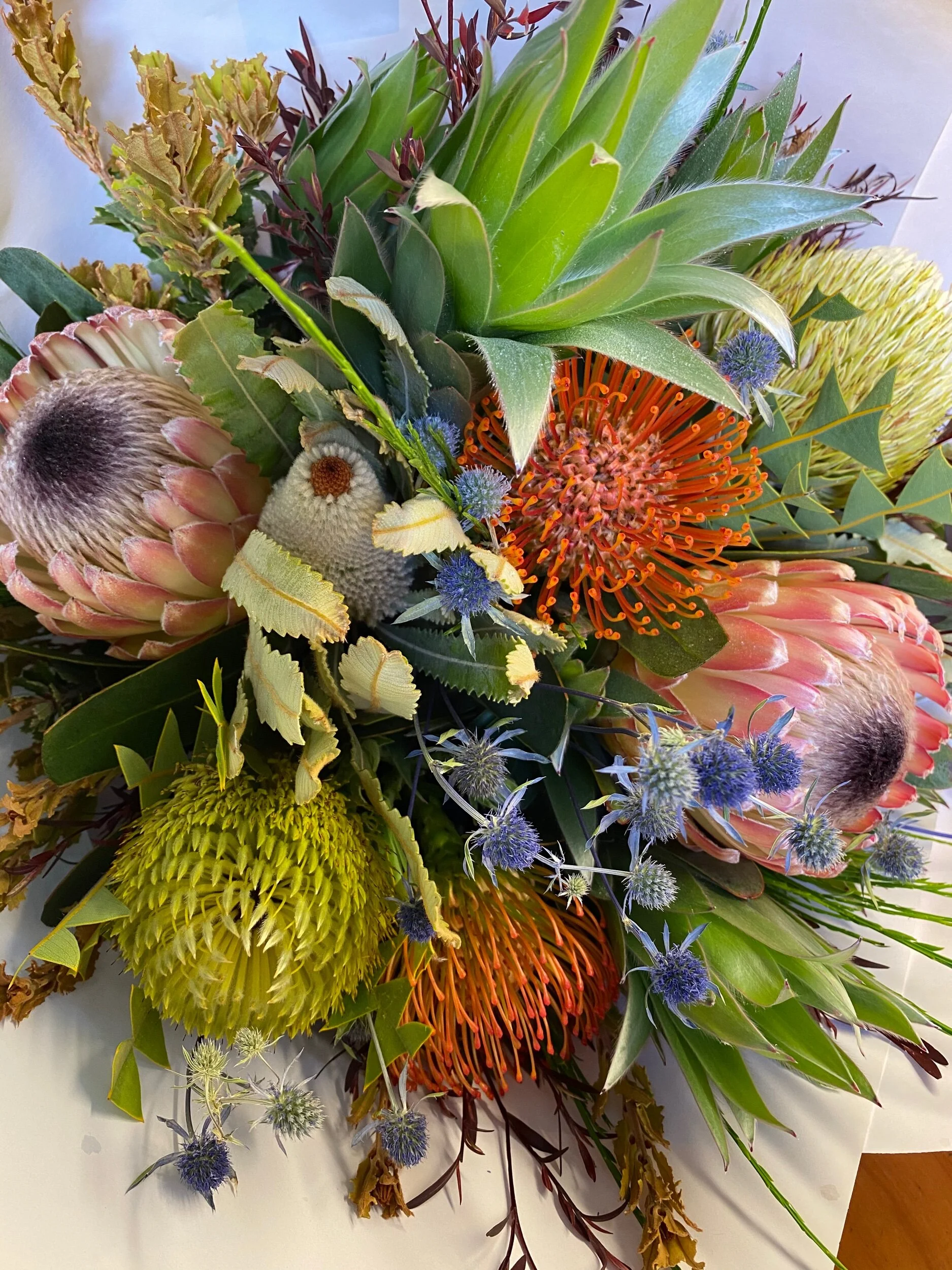 7EAF7AF3-70B3-493F-BBB1-95EE82B0D925