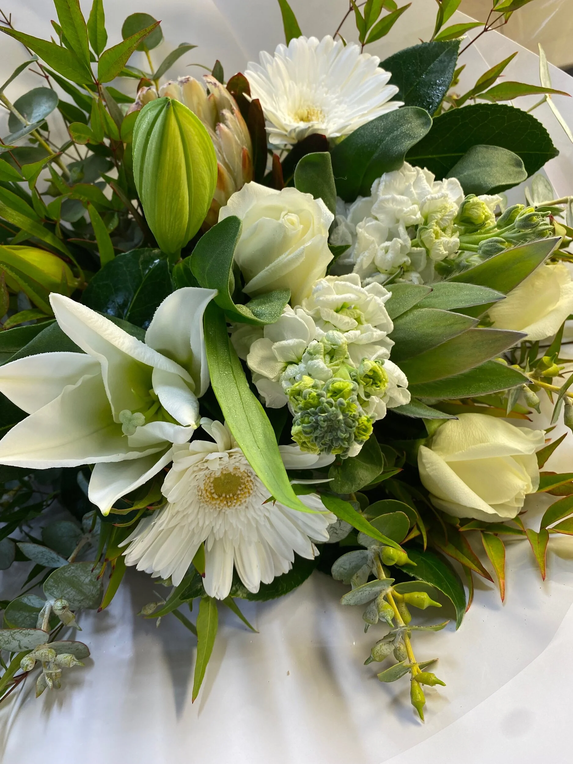 B2B0DAB8-51E5-4DF4-80A2-E5AF56F7F1E9