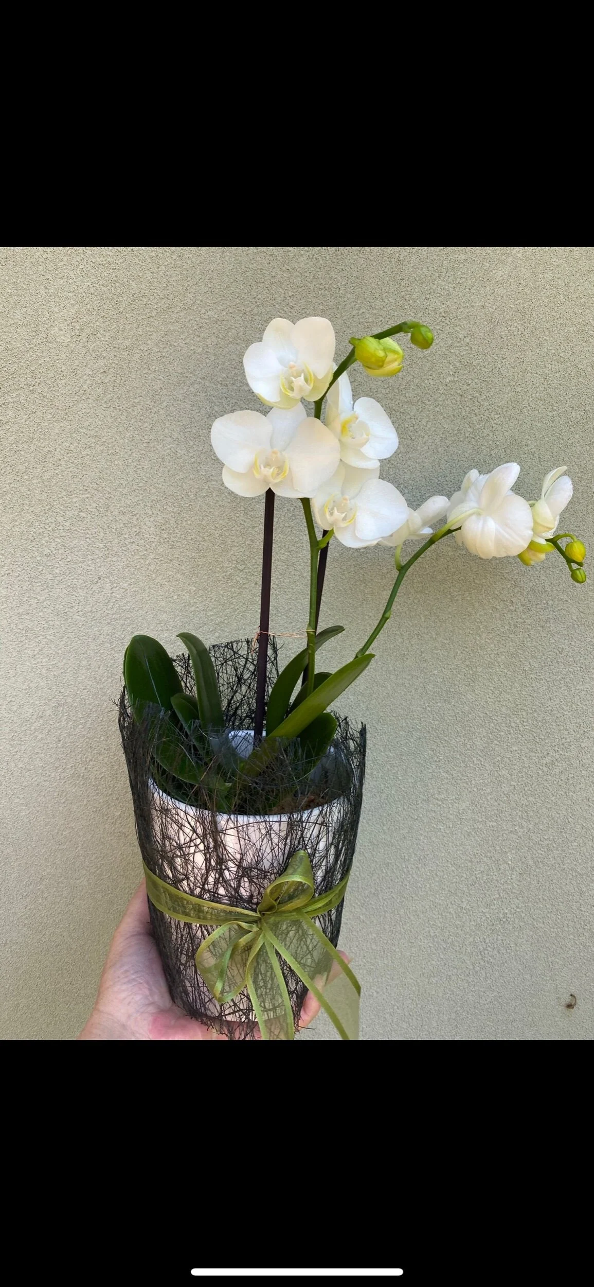 63CC1DAD-494D-4DD2-805A-0B1DF0B943D9