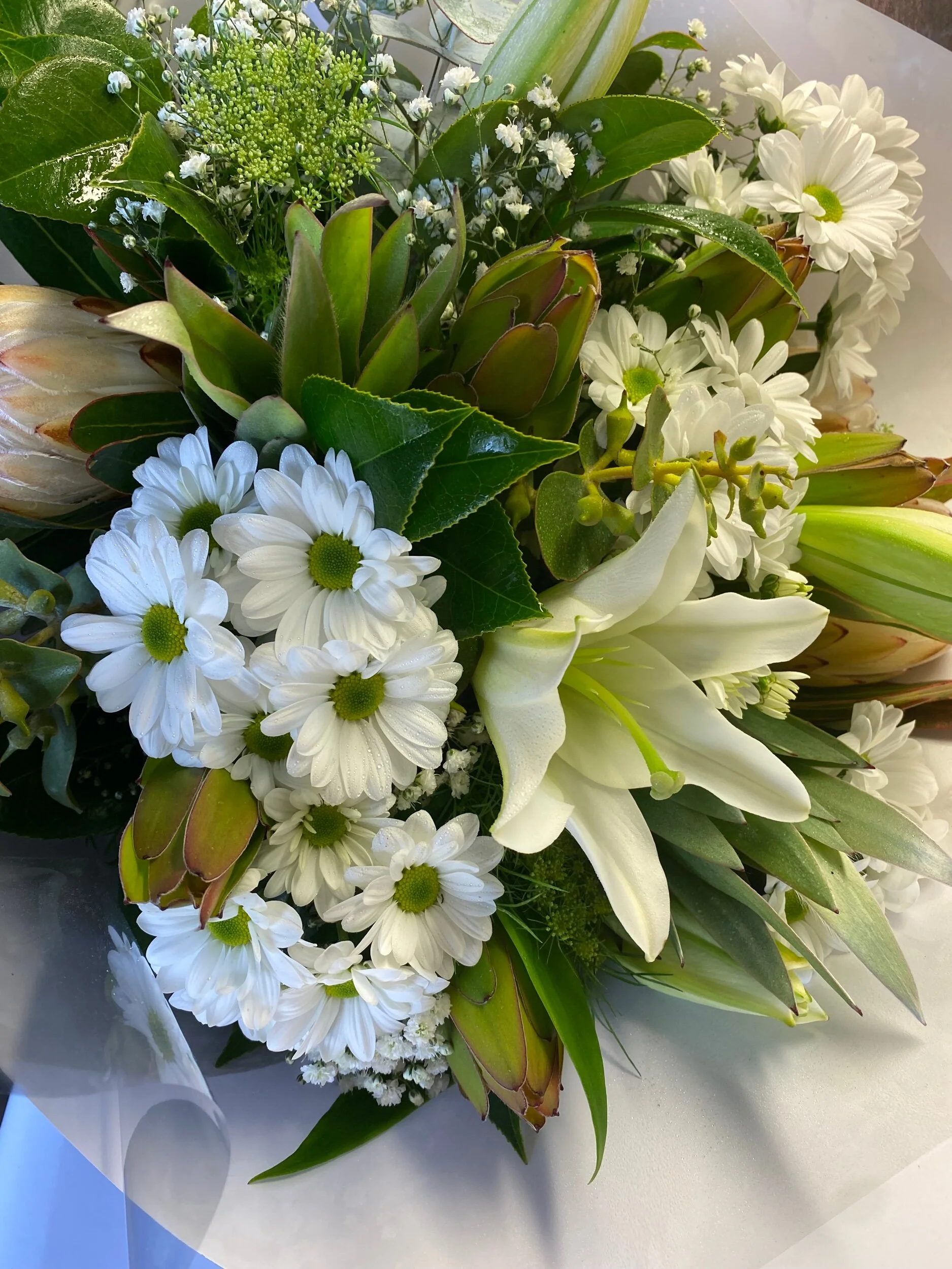 31D74913-6FF9-43D7-9037-D7363DC13F33