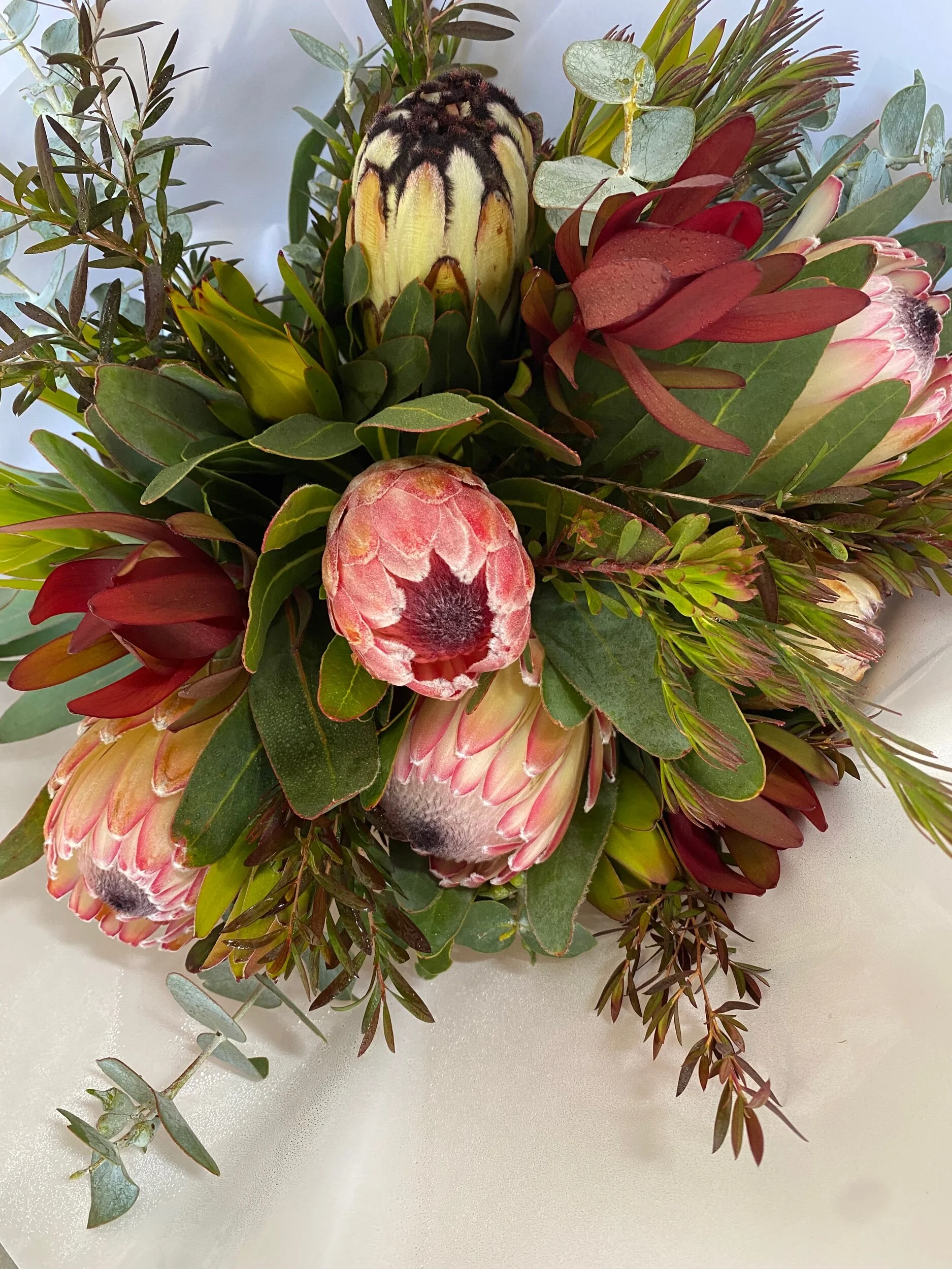 096FFA5B-5740-423D-8239-69E33E83FDC7