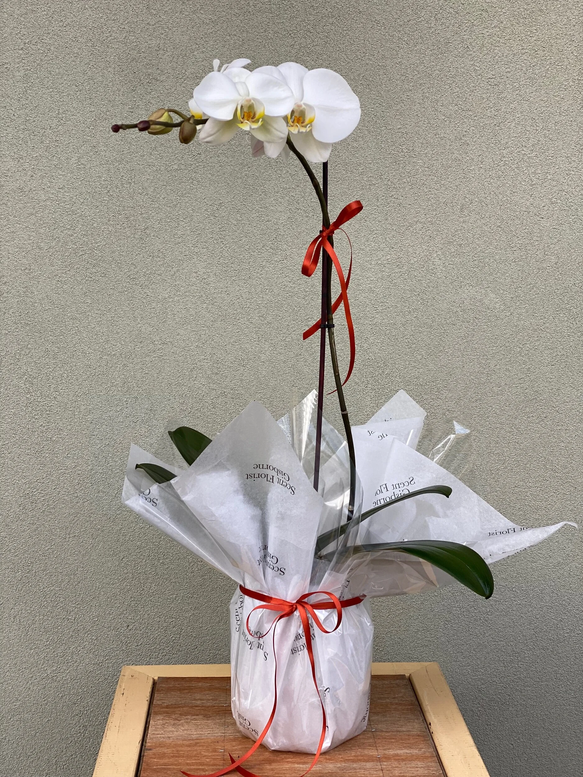 9FB27961-8E48-4AB1-9D88-90A3EEF63DB2