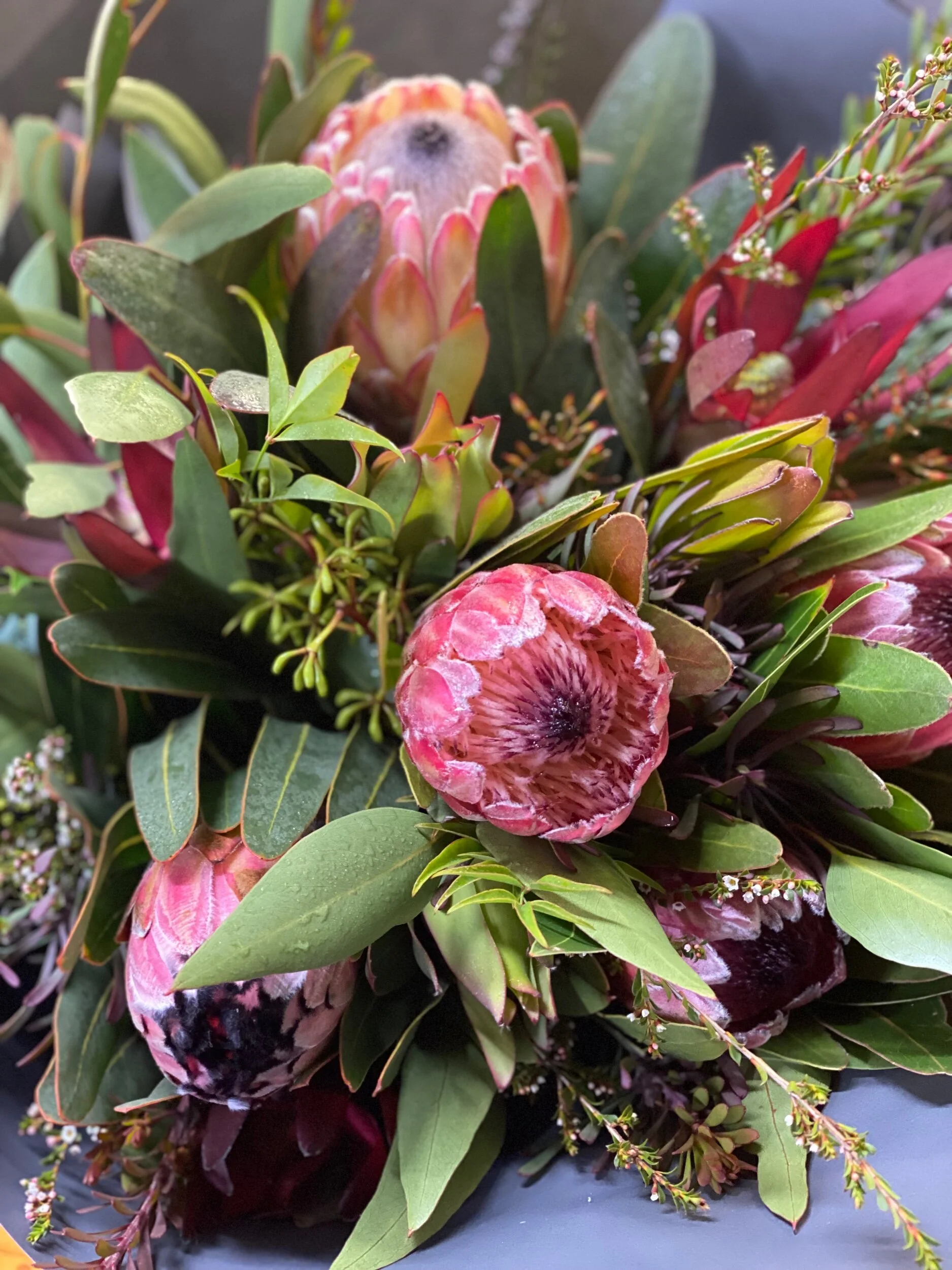 C40FDE47-A4BB-47A1-B083-26C17B1E375C