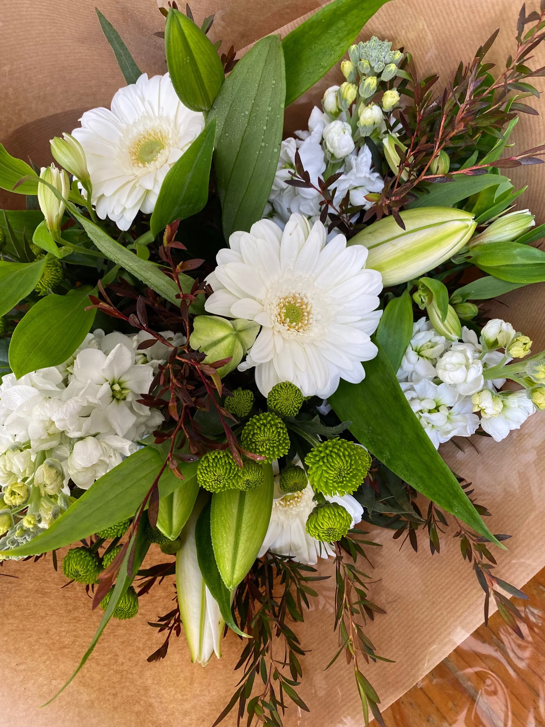 E9C90962-8954-4592-8C02-8F0D40AAA91F