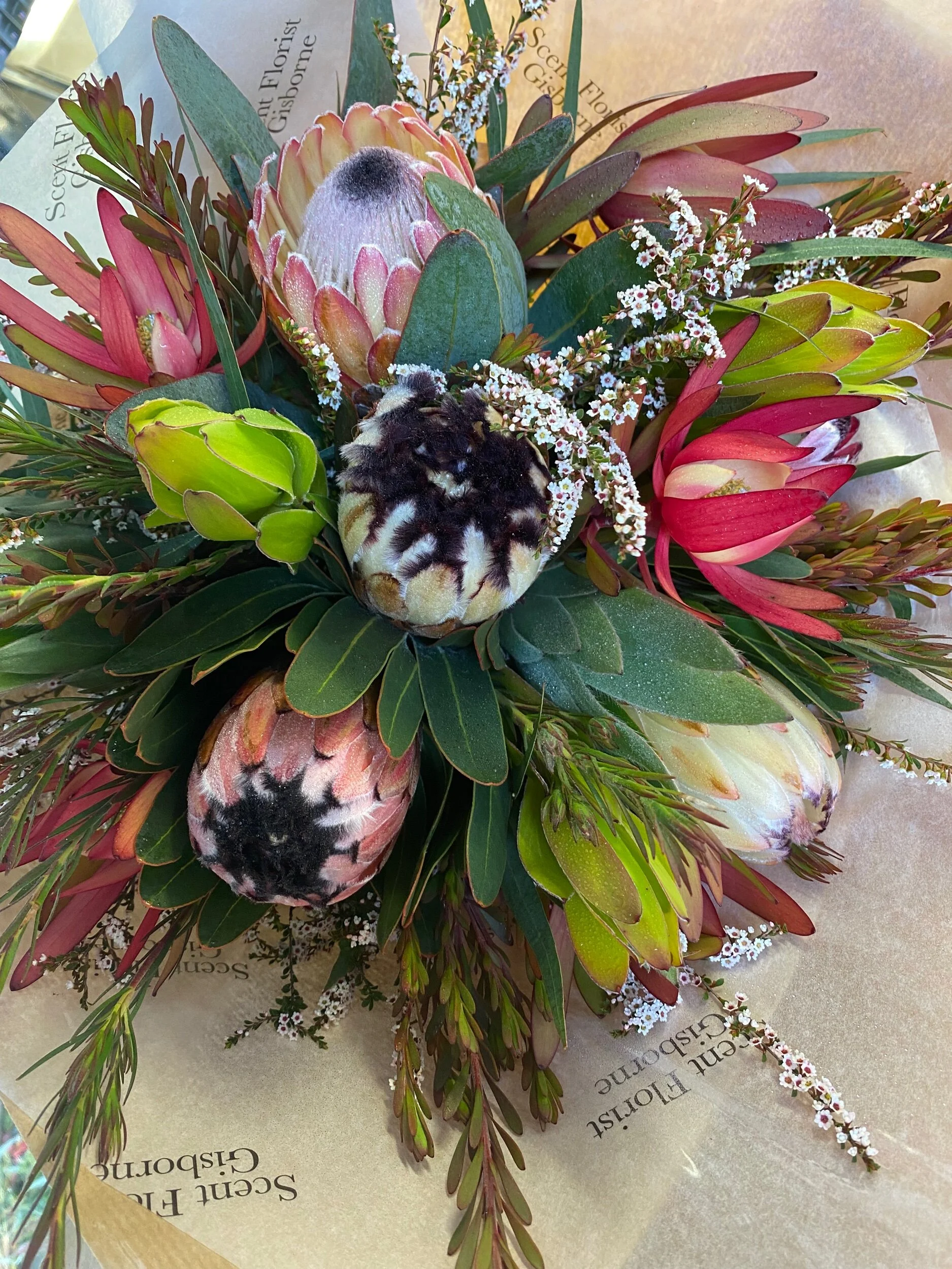 023488F1-6670-4663-8A00-86369CE47B80