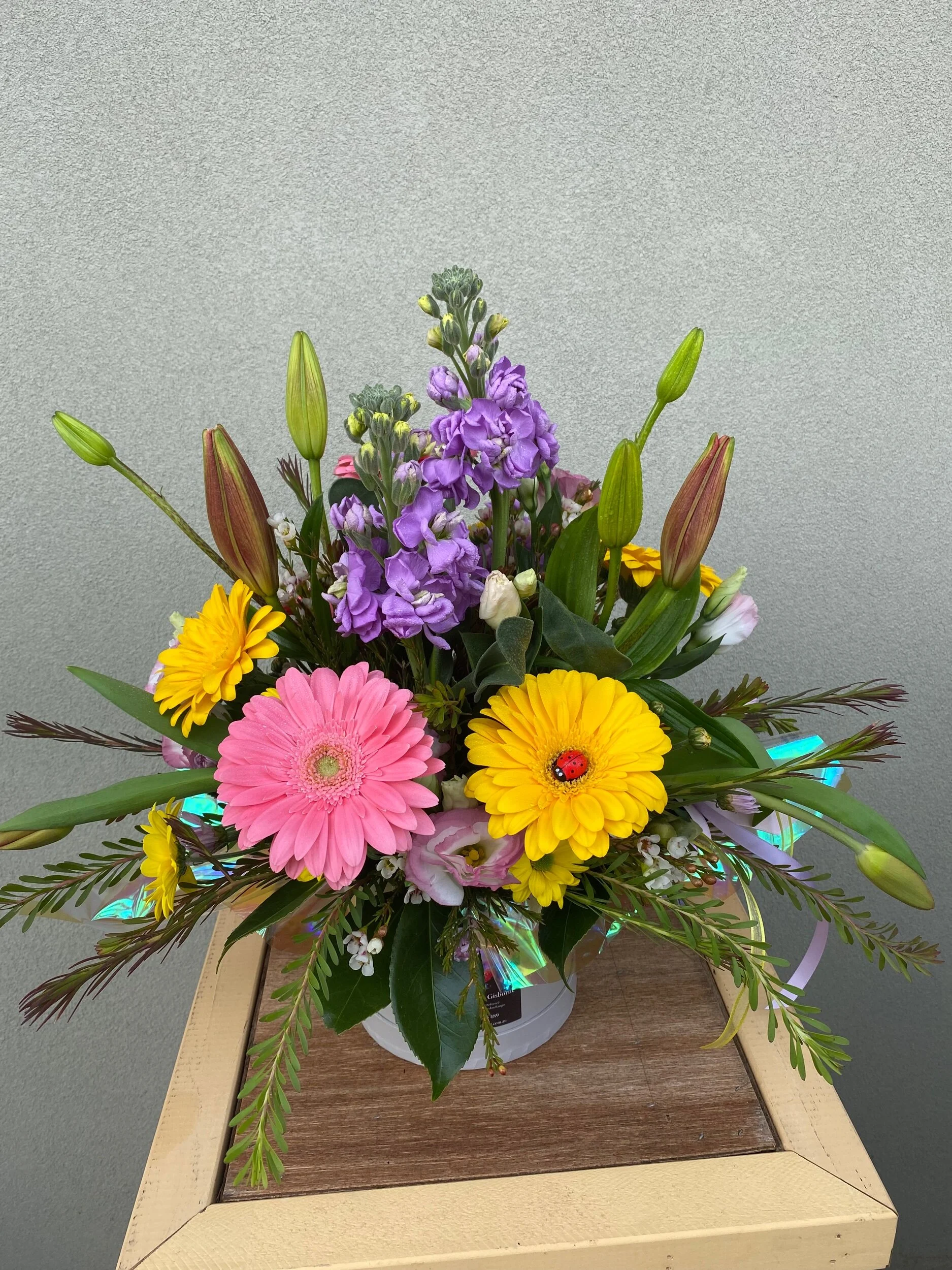 BC210667-3BB3-4D19-B851-0CF95B6EE26E