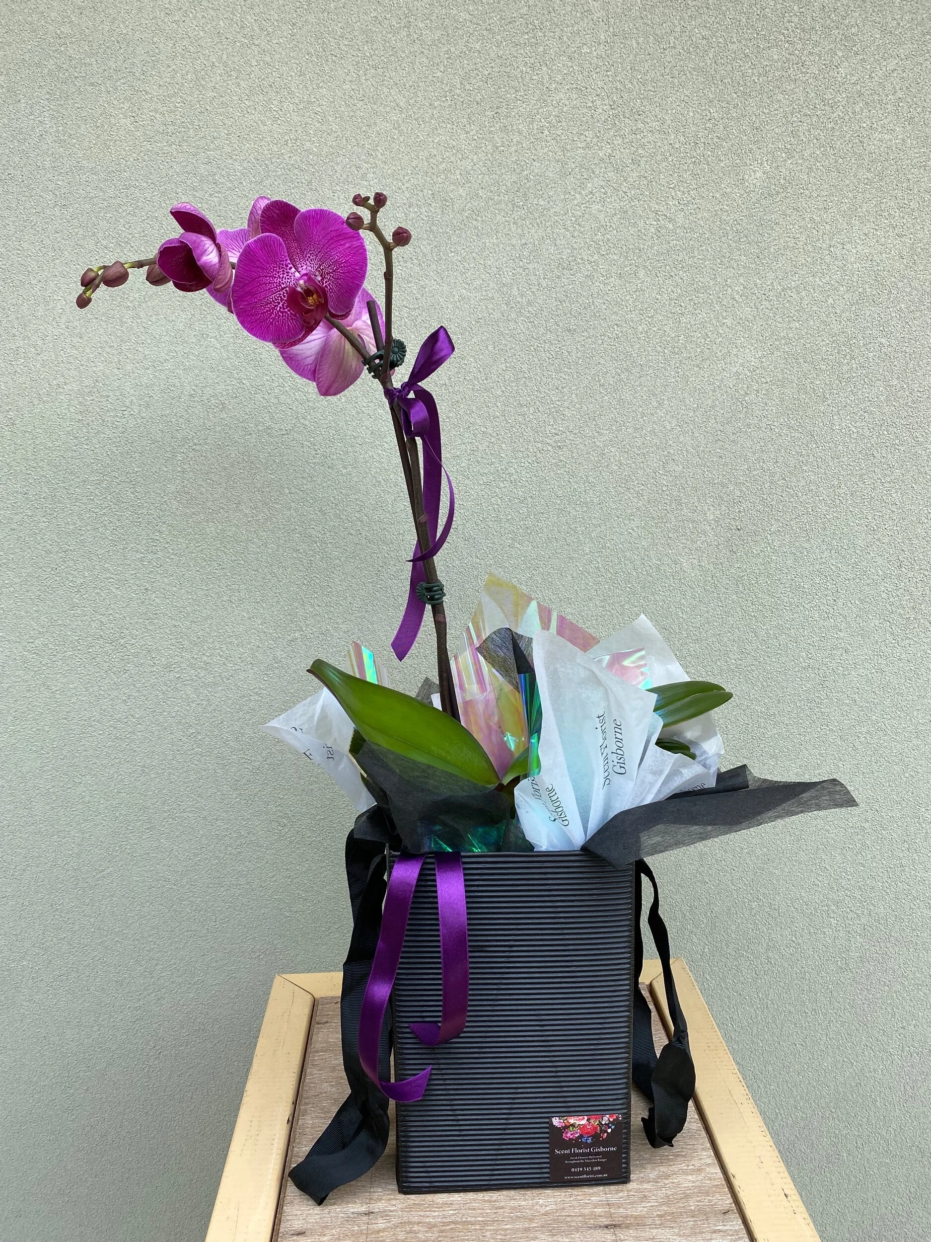 1DA1BFAB-A88F-4C2F-B459-AB3D24BB2D3F