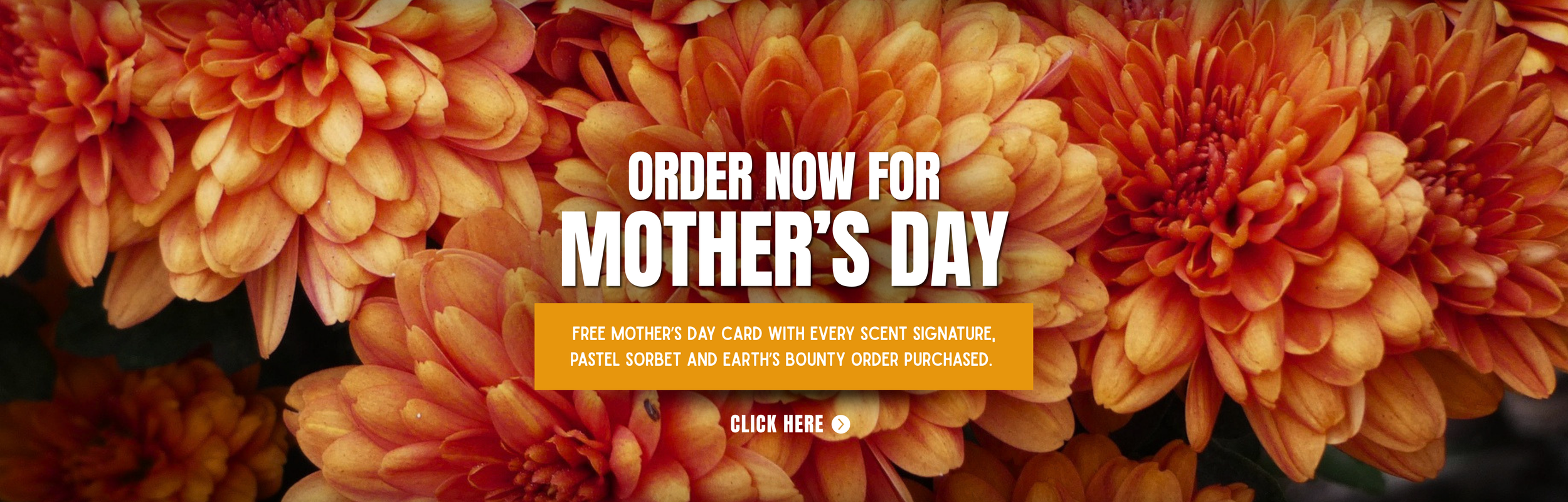 Scent Florist Wide Web Banners 2322.png