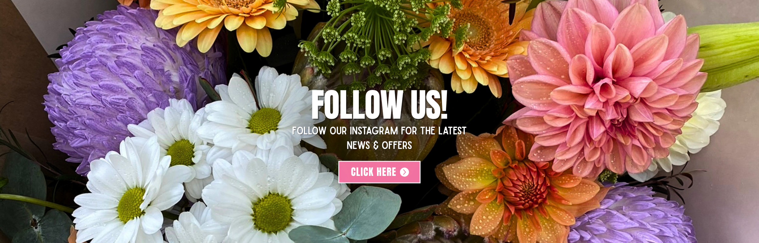 Scent Florist MD Wide Web Banners.png