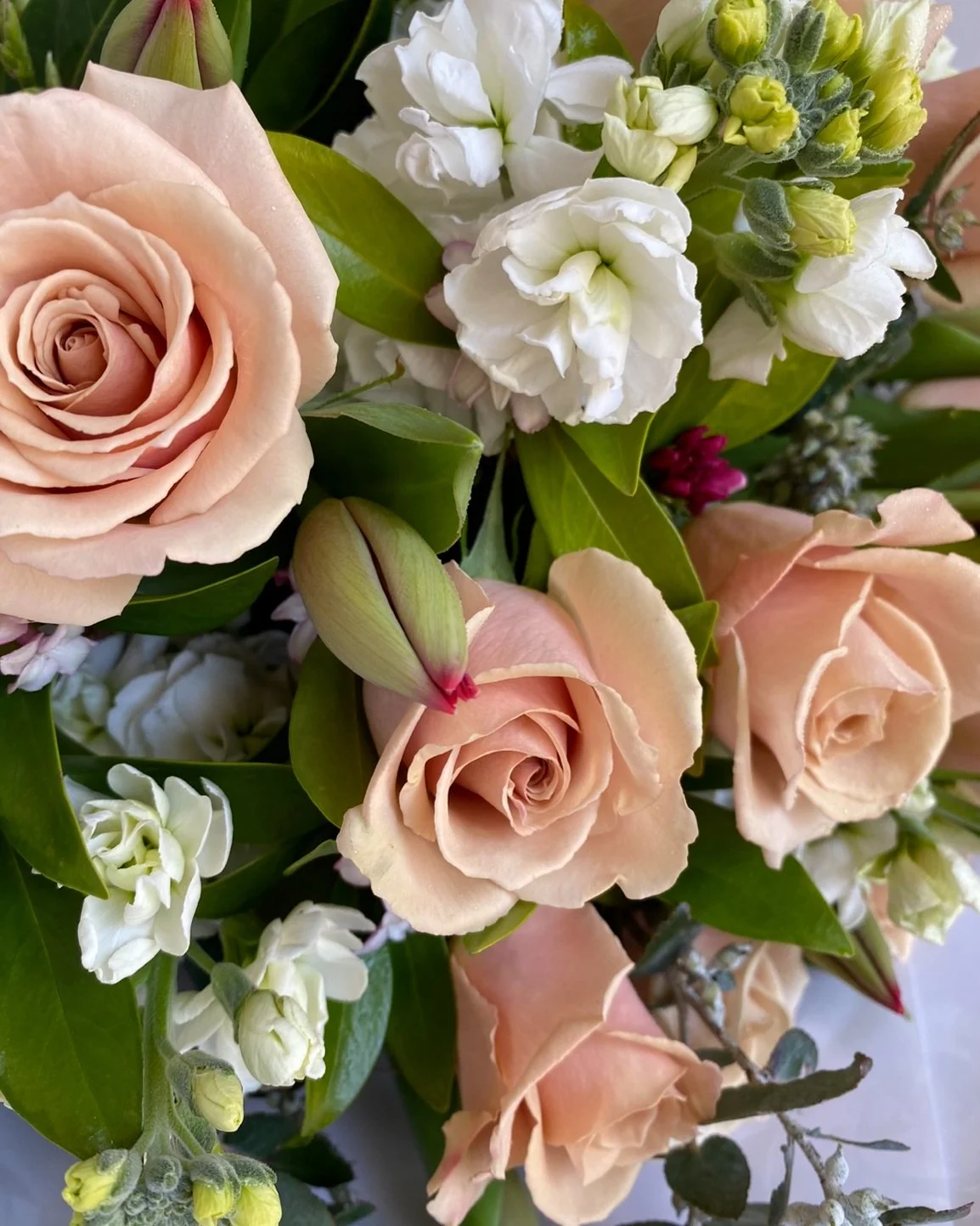 BC5DCA59-E4C4-477E-831C-4581C3121A9F