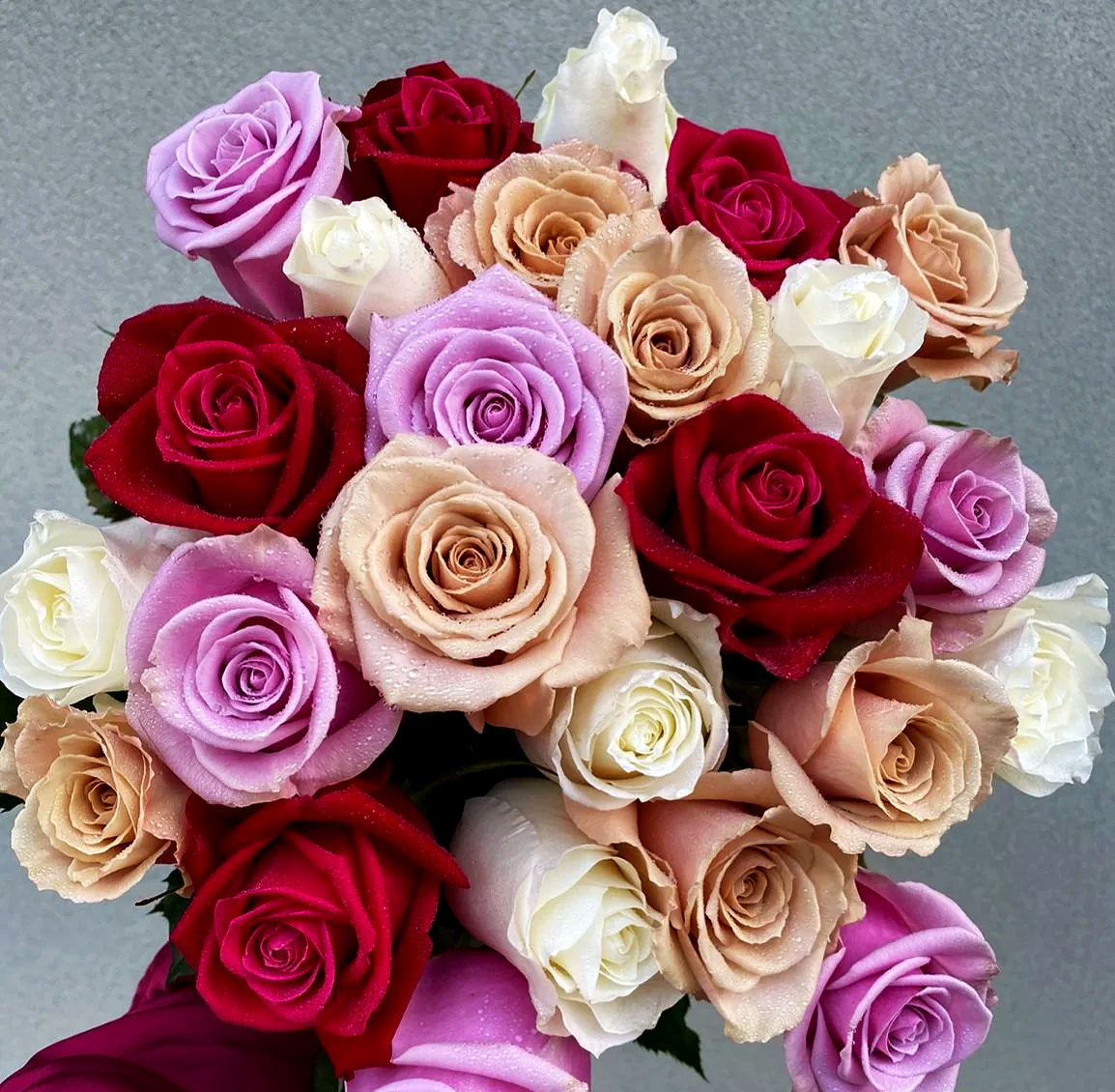 6A307C42-B927-40BB-9FC3-5102B719A4E6