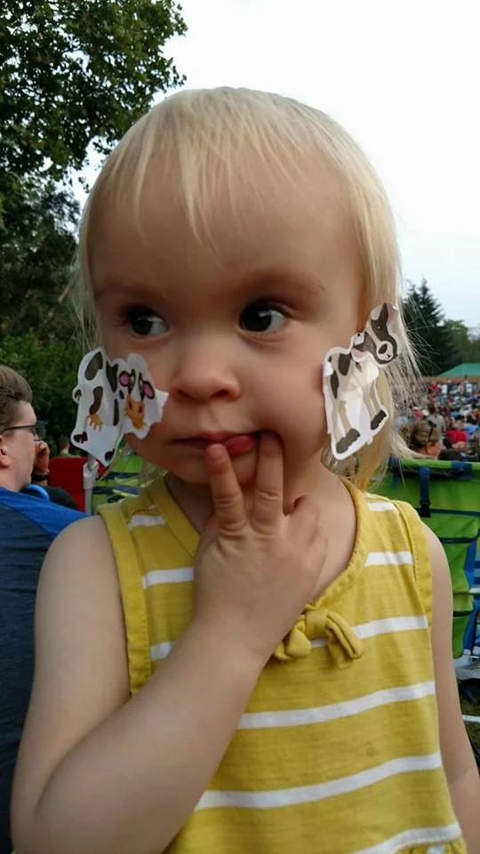 sierra sticker face.jpg