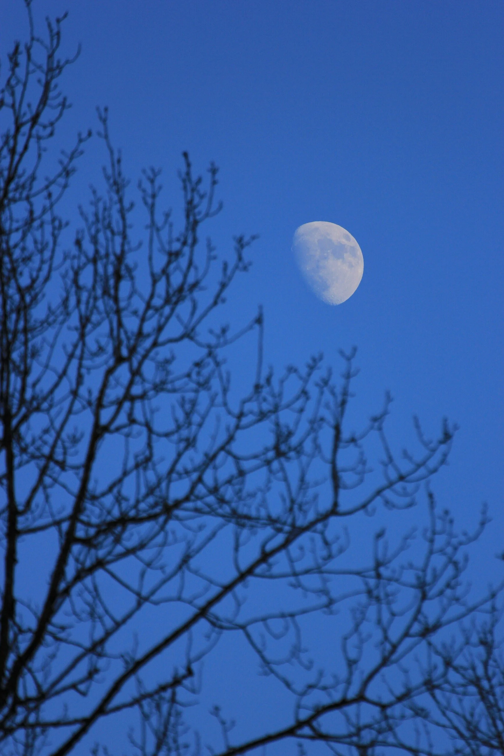 Breaking Weird - A Coronavirus Survival Guide