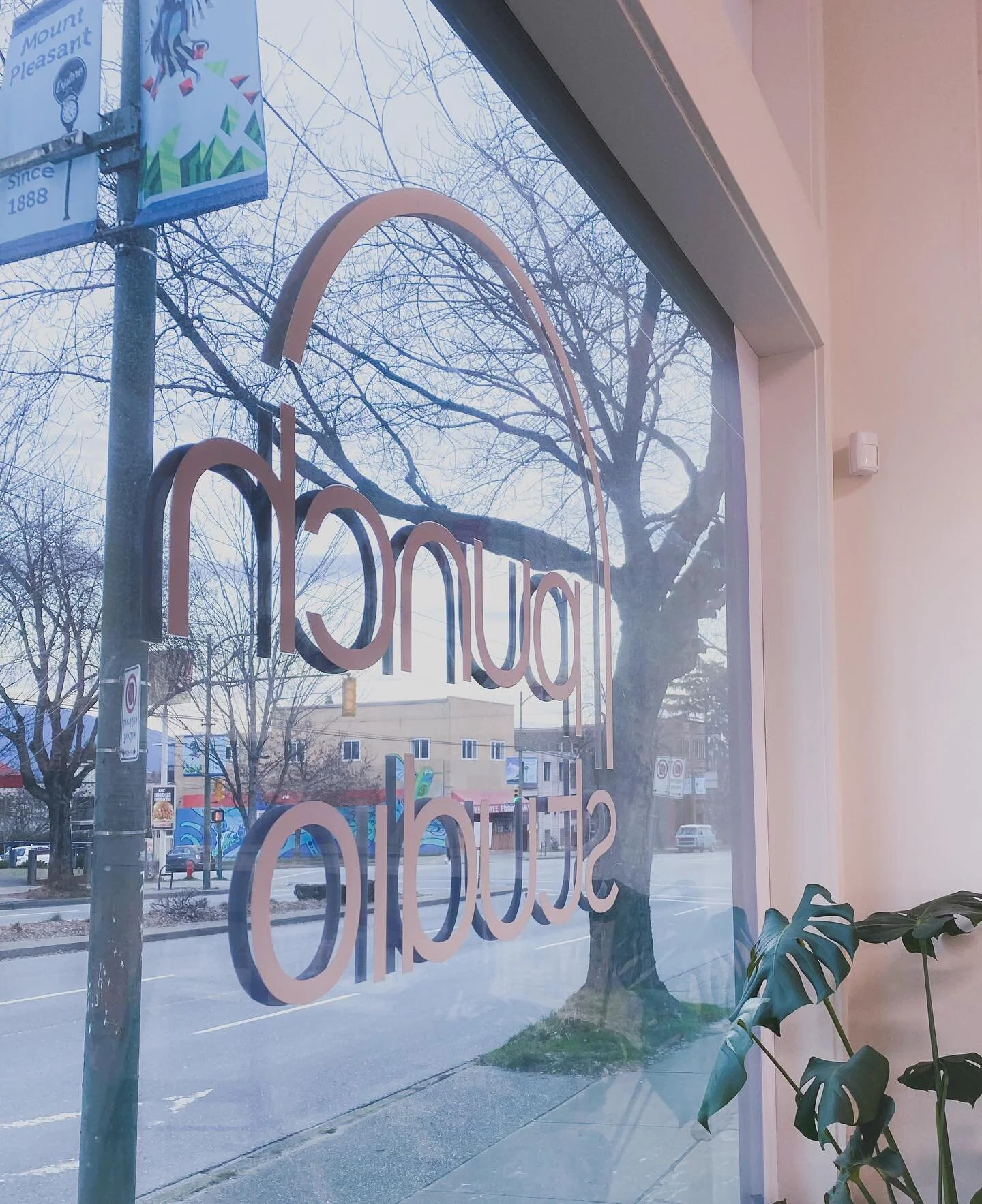 That early spring evening light 💓 @punchstudioco