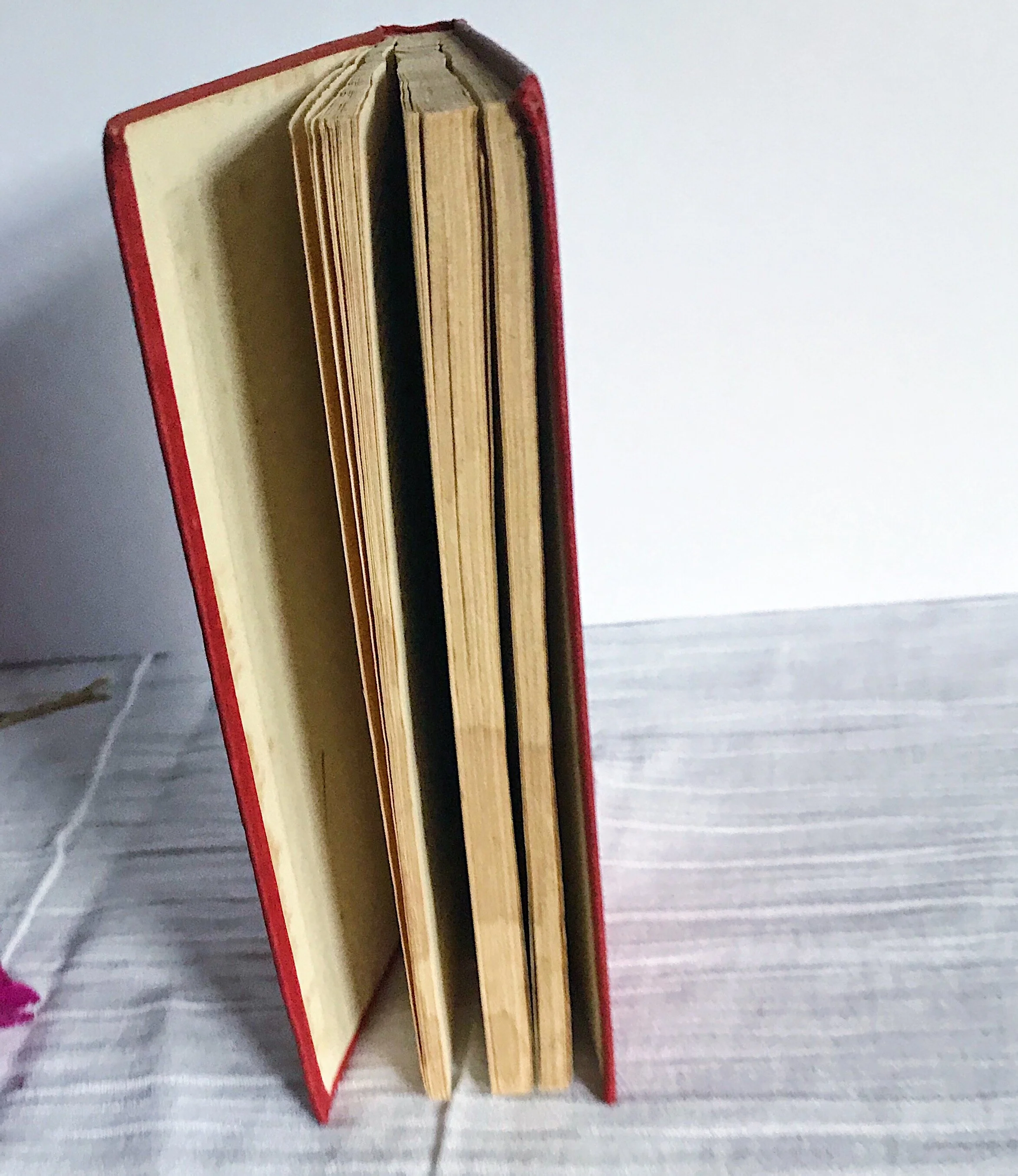 80DB66CA-FF9F-4DAE-AFDD-AF3A2C8F5357