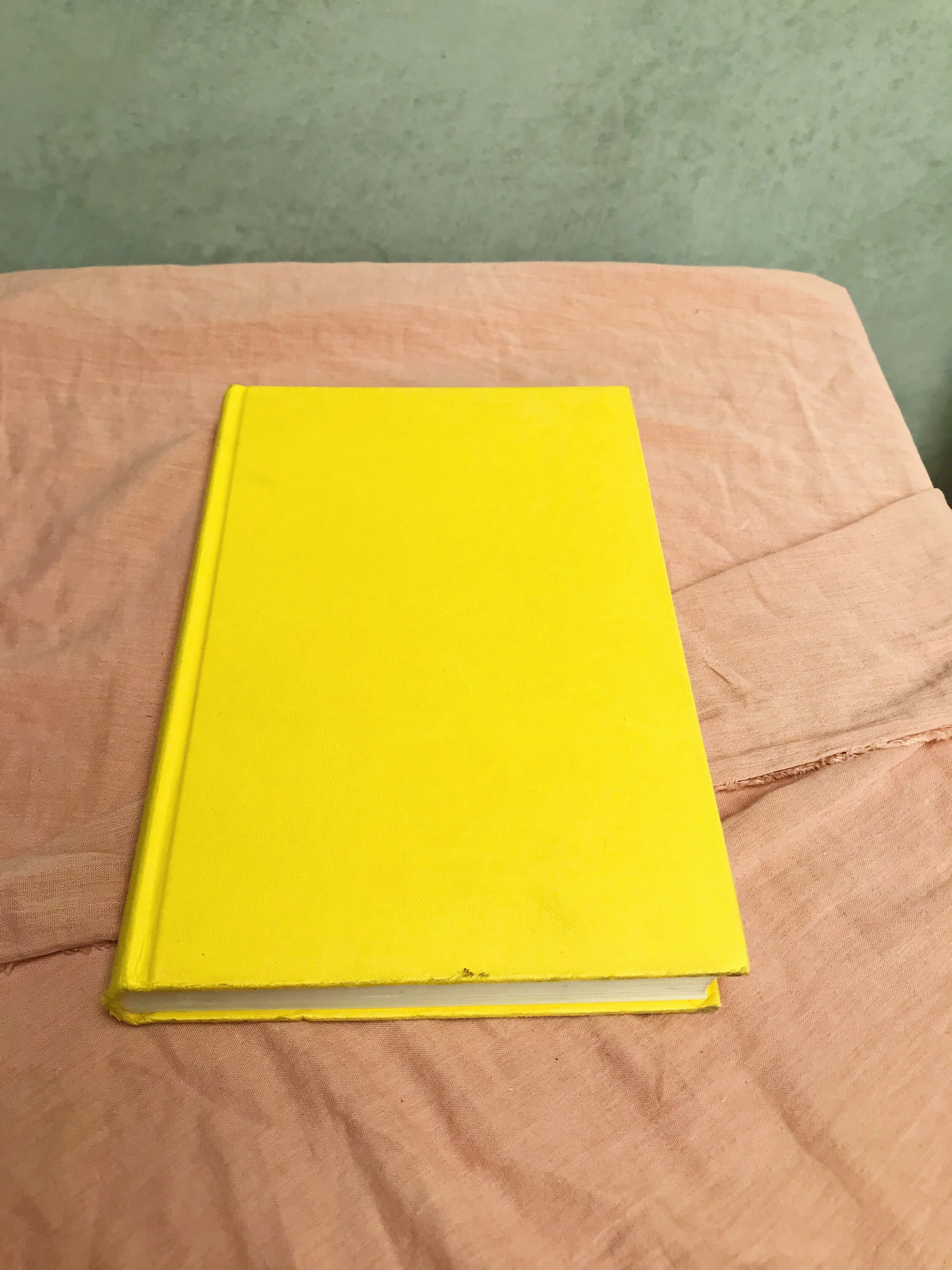 7801FA81-83D2-4353-AAD3-0AC2D50A2CA2