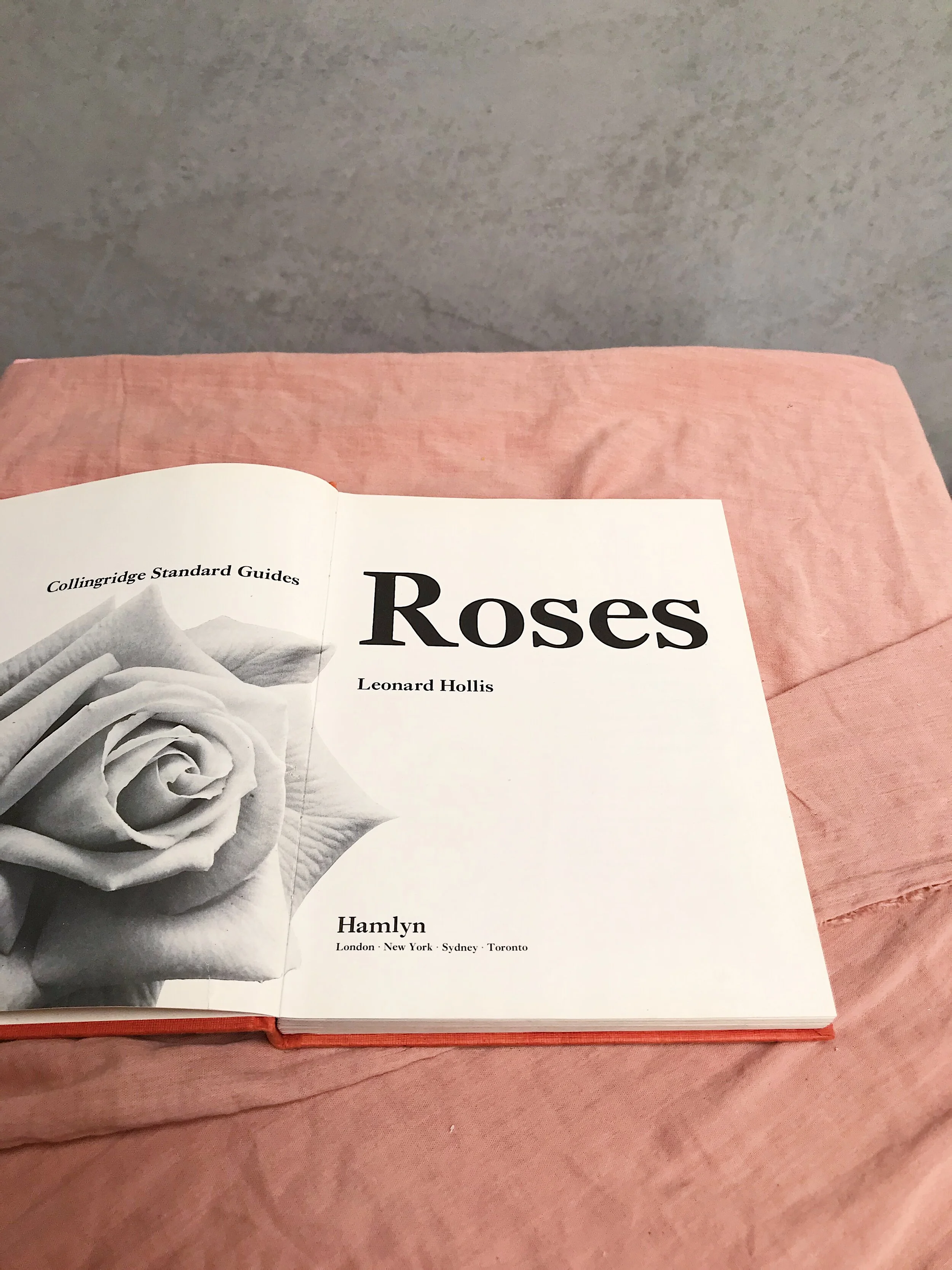 16121ACB-02D6-4C87-B2AB-36BAA0463CDD