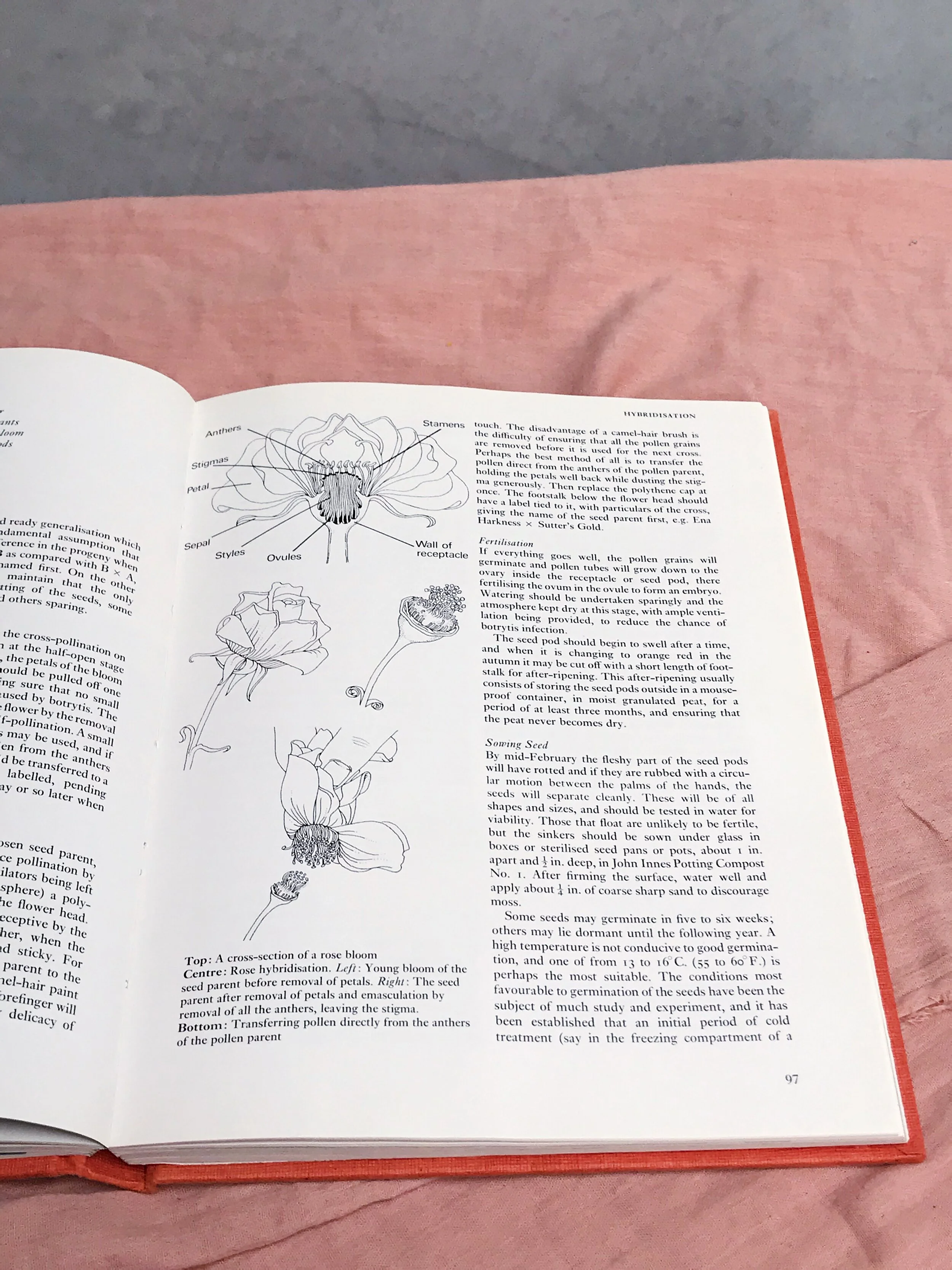 D99598D4-2AB5-4749-9971-E74F2E170D36