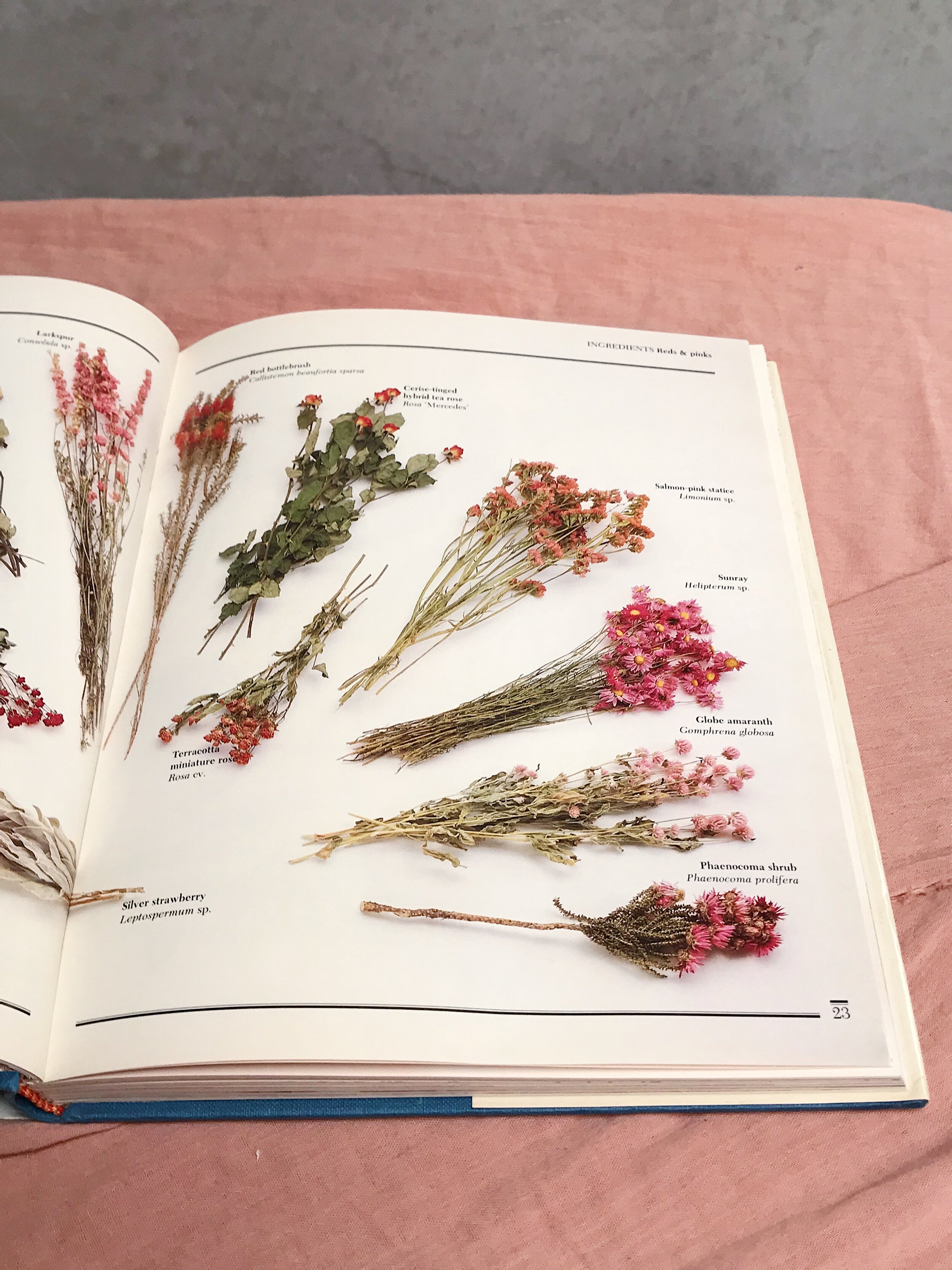 2F6771FB-5DCA-4734-BF37-74987052430D