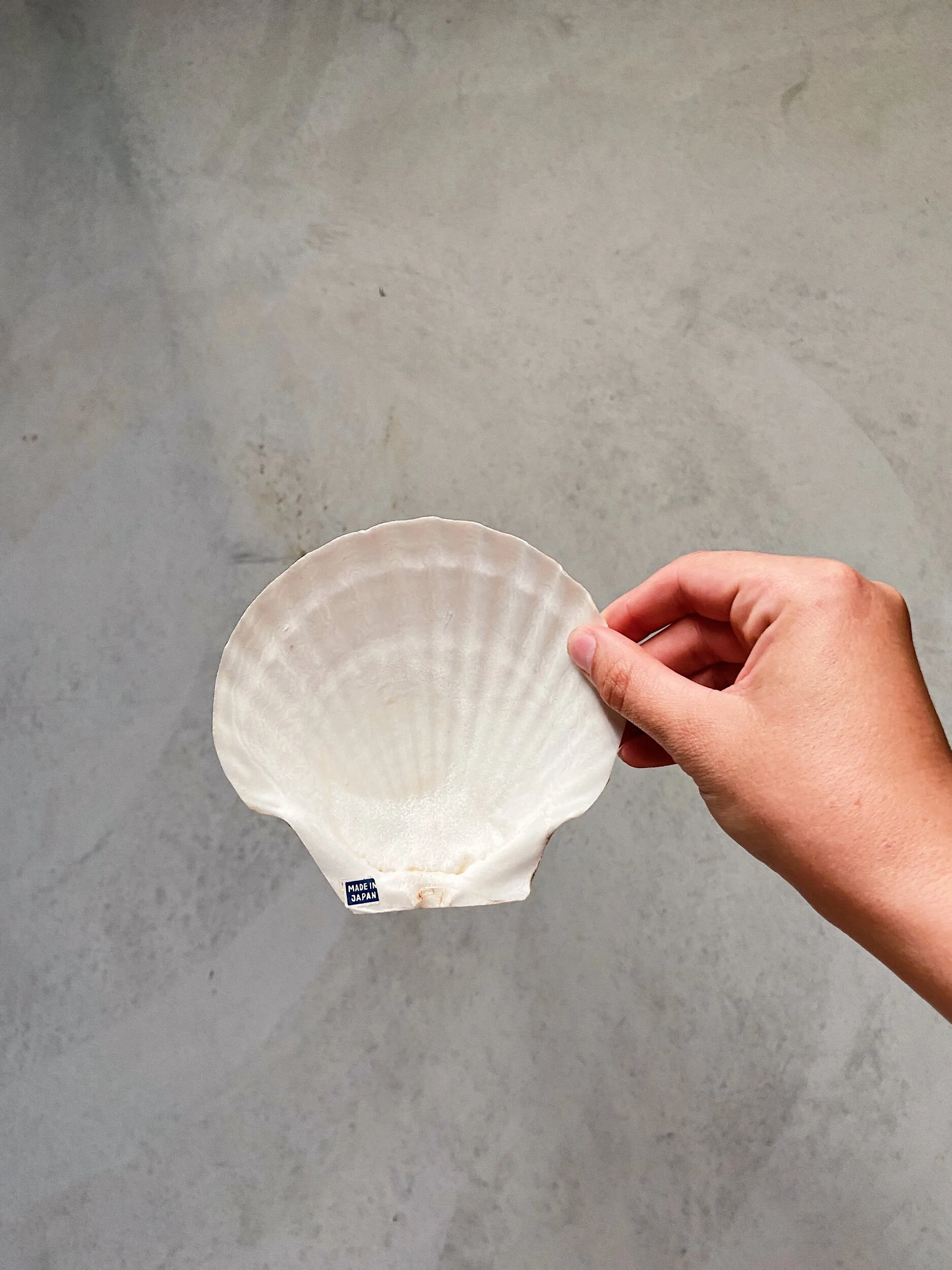 55BEABBF-32AF-4EFE-ADA9-FB9FEDA8C607