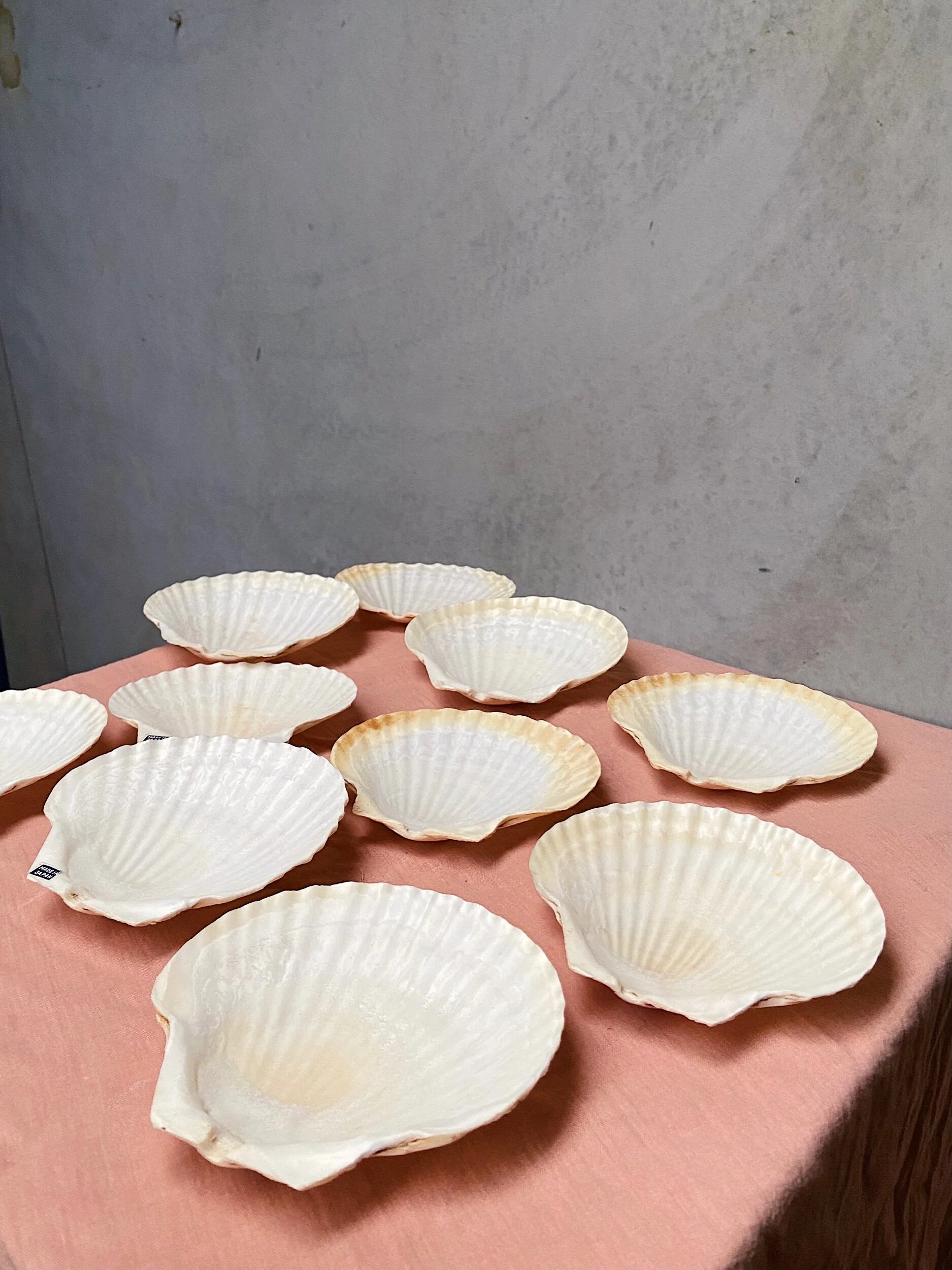 C688547D-AB13-48C9-8BE8-EC987CE71117