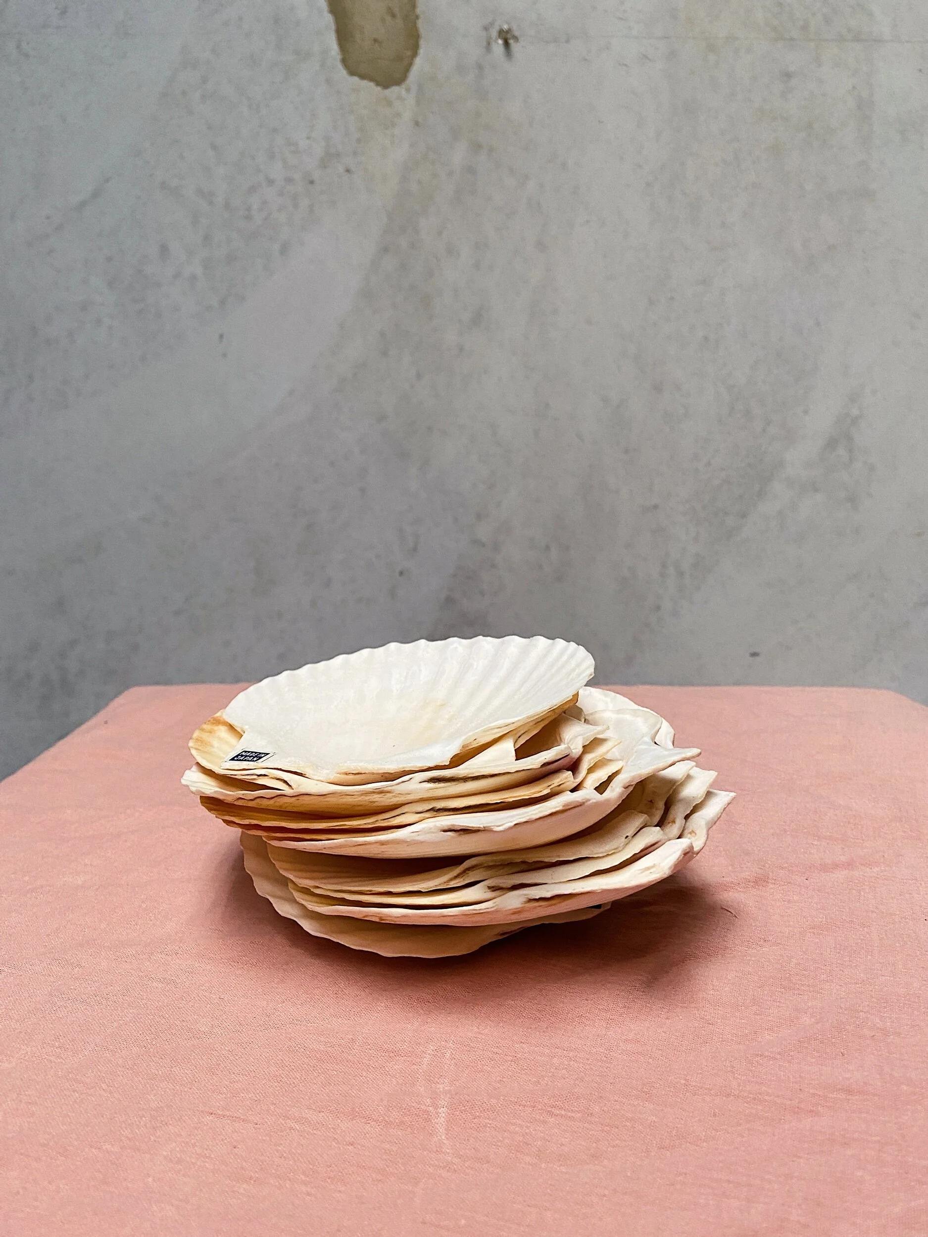 98CF96FA-5FE5-43D7-B873-75B4313FCCD8