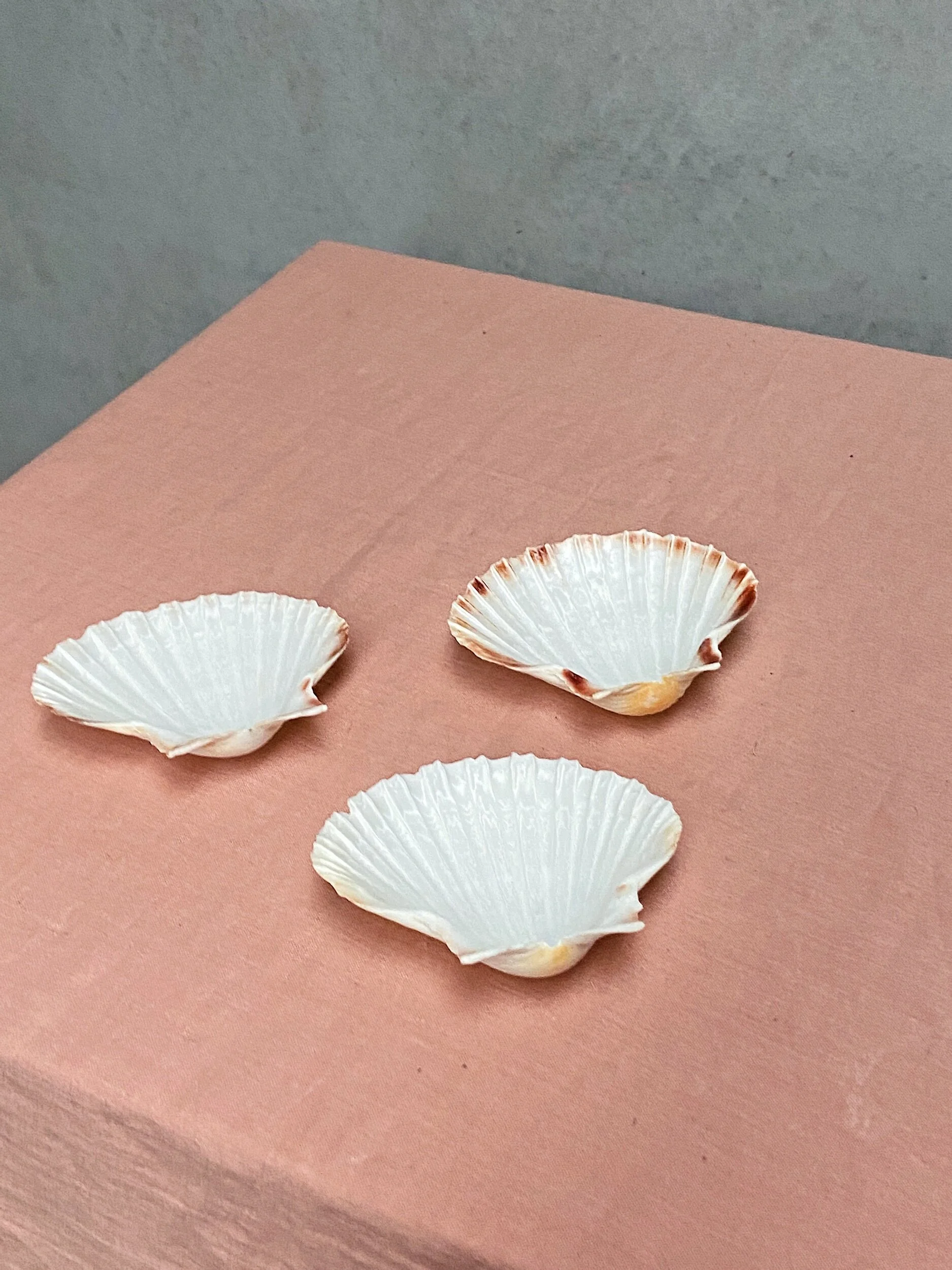 C8D1D987-0D4A-4CF0-8164-41631B61219C