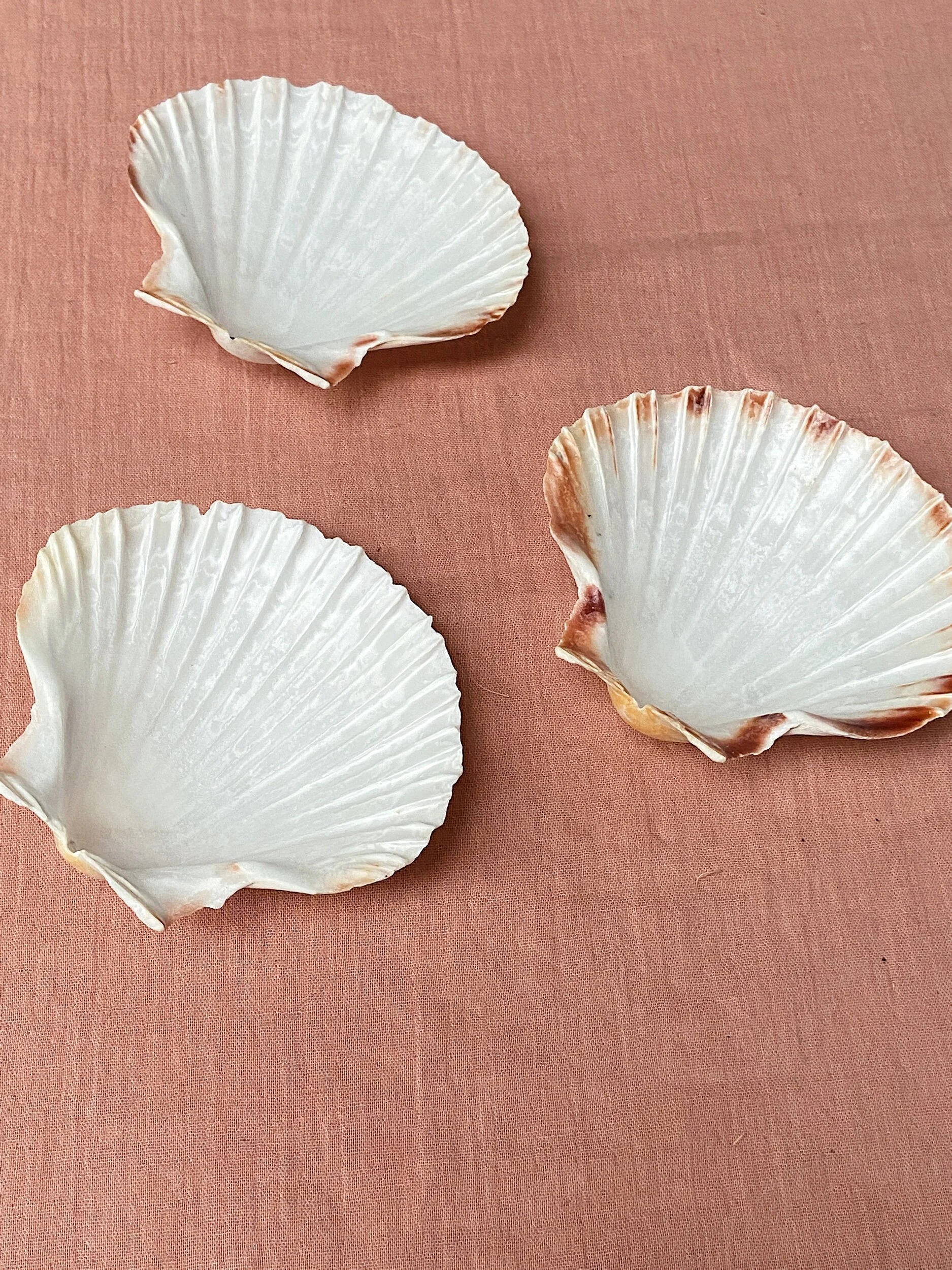 1360221A-3C23-499B-A616-CF9266F3216A