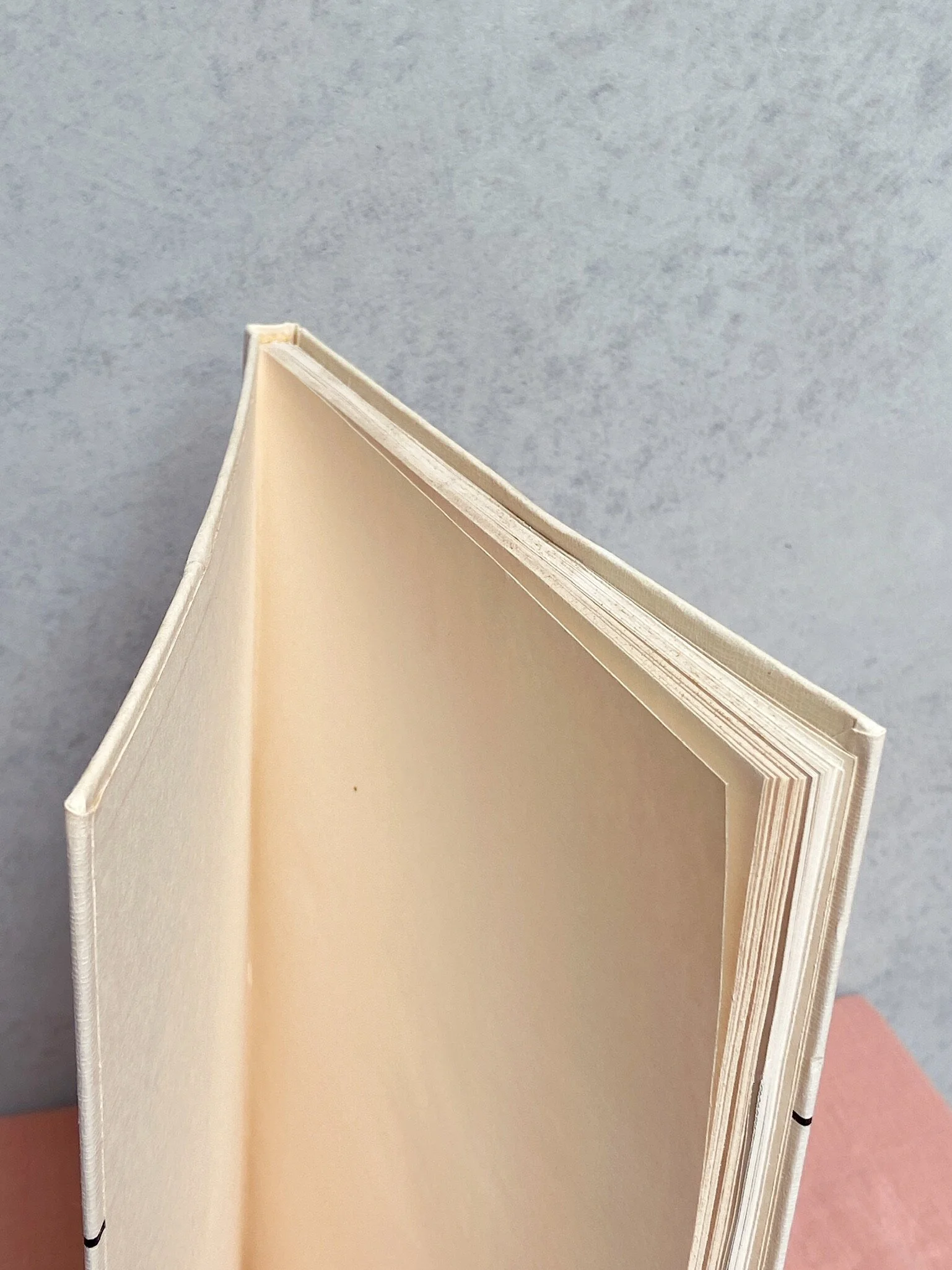 CDB4A2D1-55A3-45C7-8589-BFAAB3867CB4.JPG