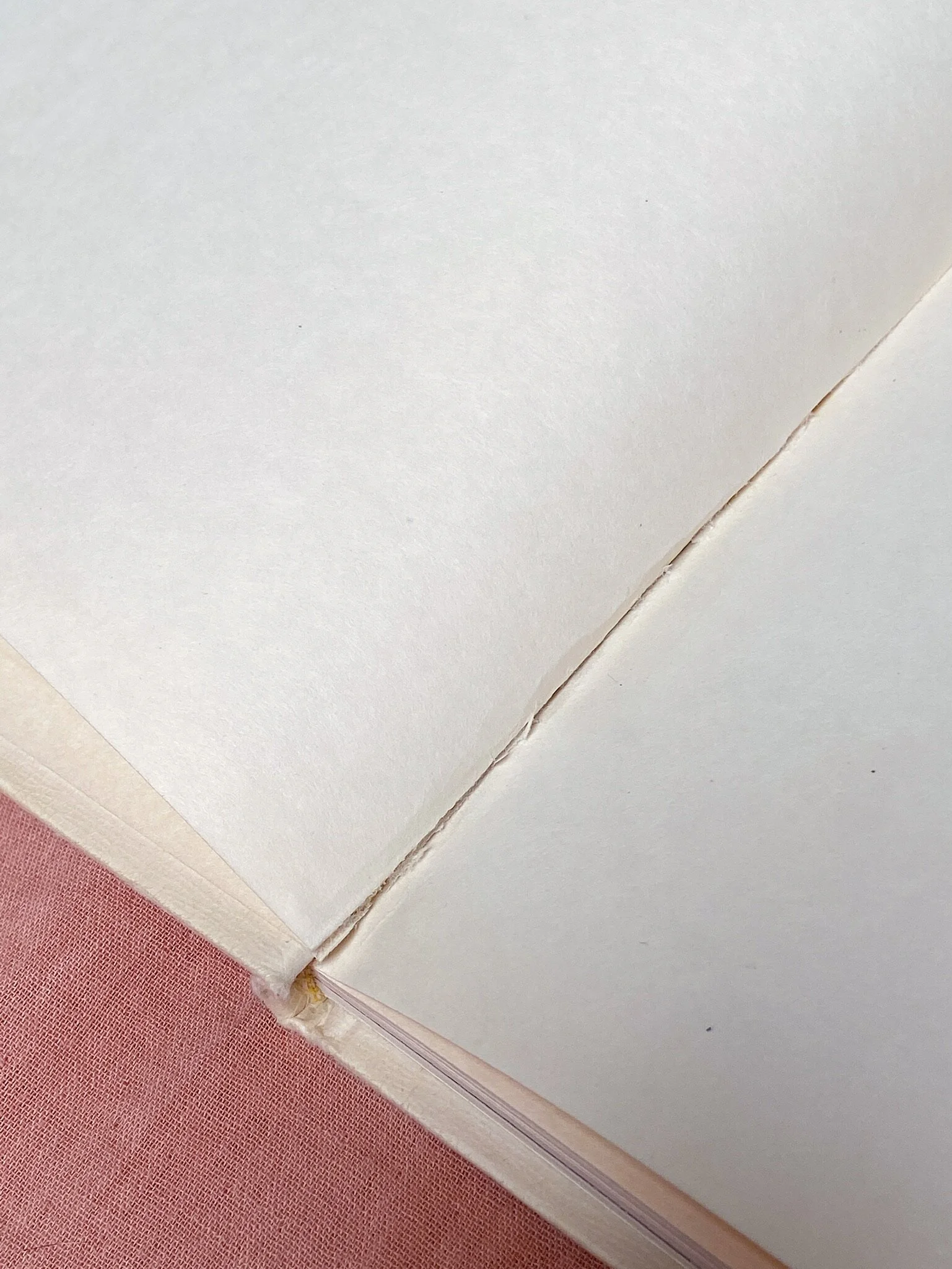 9E59C2E9-76D9-4F85-A7DC-34DA008B902B.JPG
