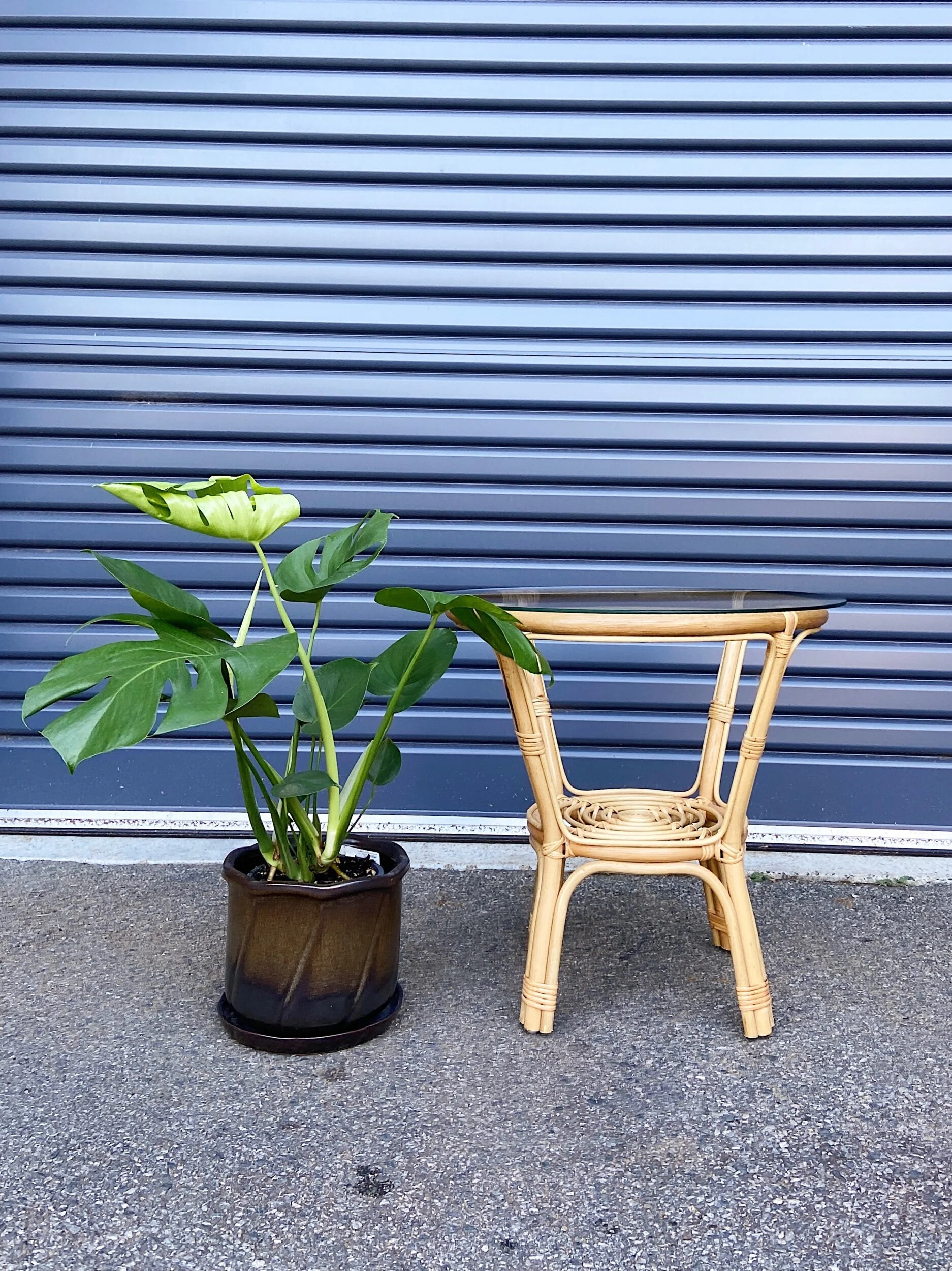 3234F065-2AF8-4BDC-B0CE-998CBE865B08