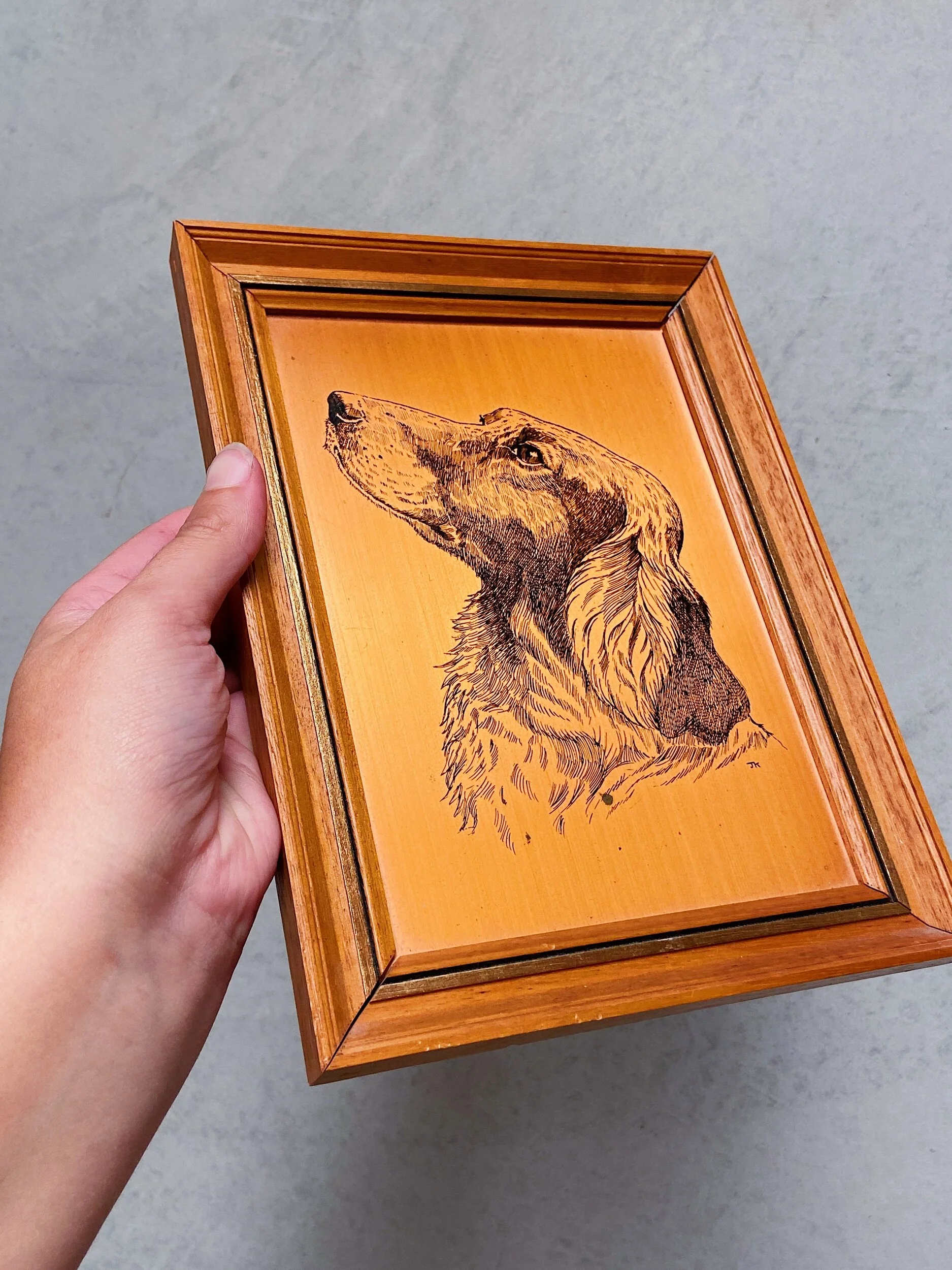 1BBA48B0-03BF-490A-A3E3-7D2CBF92C4EA