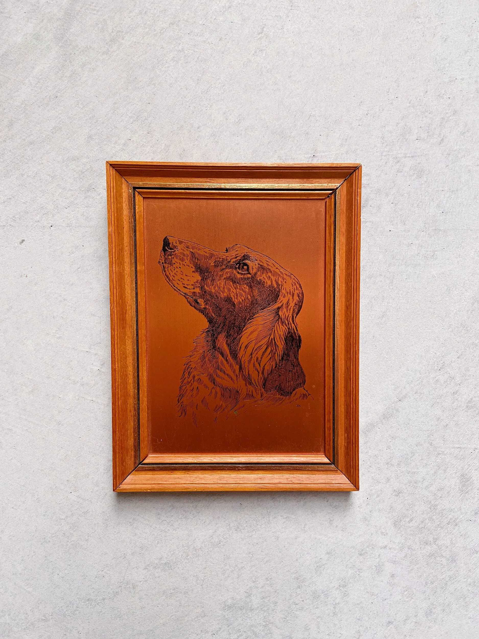 E4920EC9-D09F-4751-9BDC-87B03140F4BD