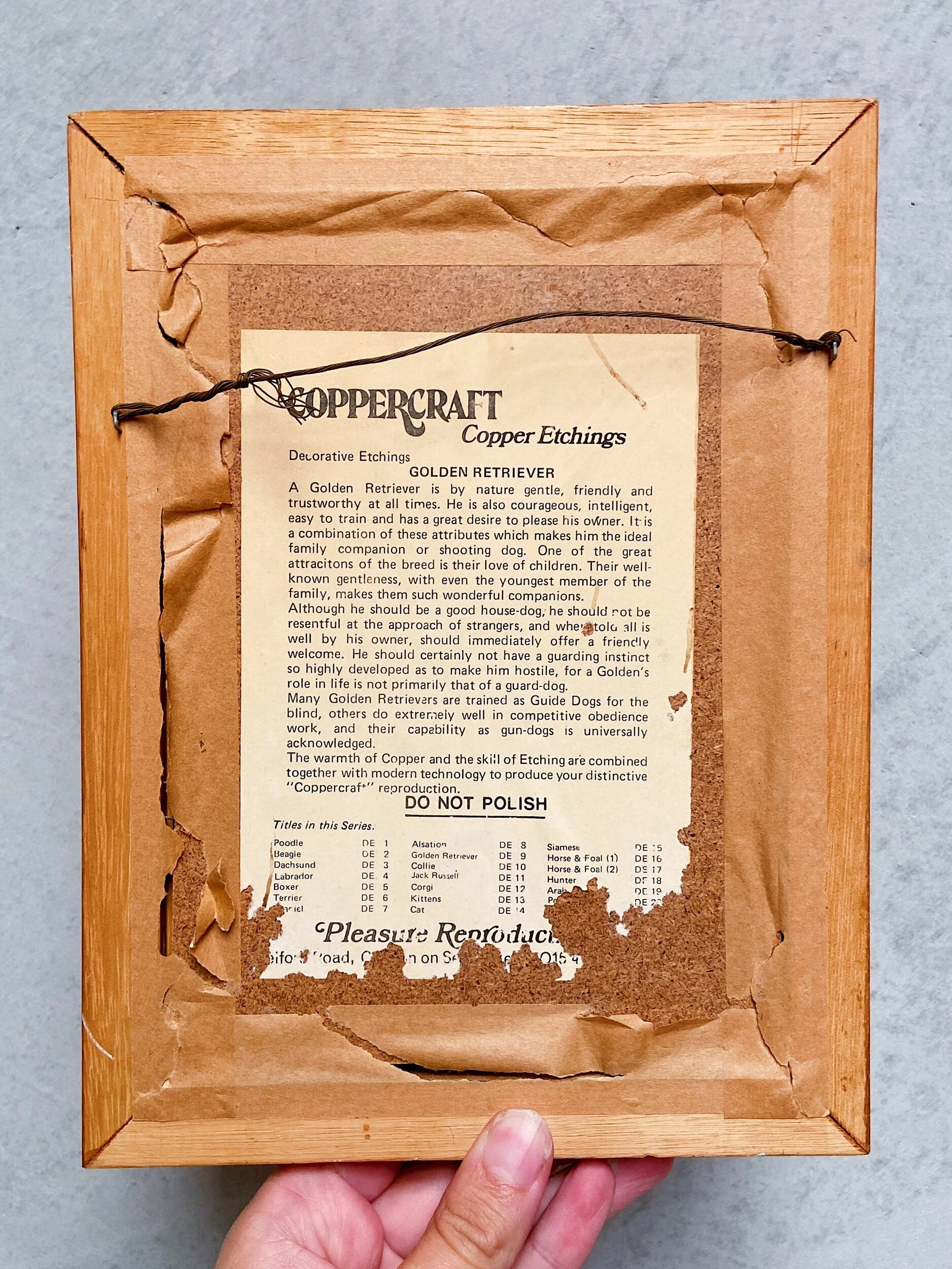 FBC09B62-DC88-47BC-906B-EEA981442A35