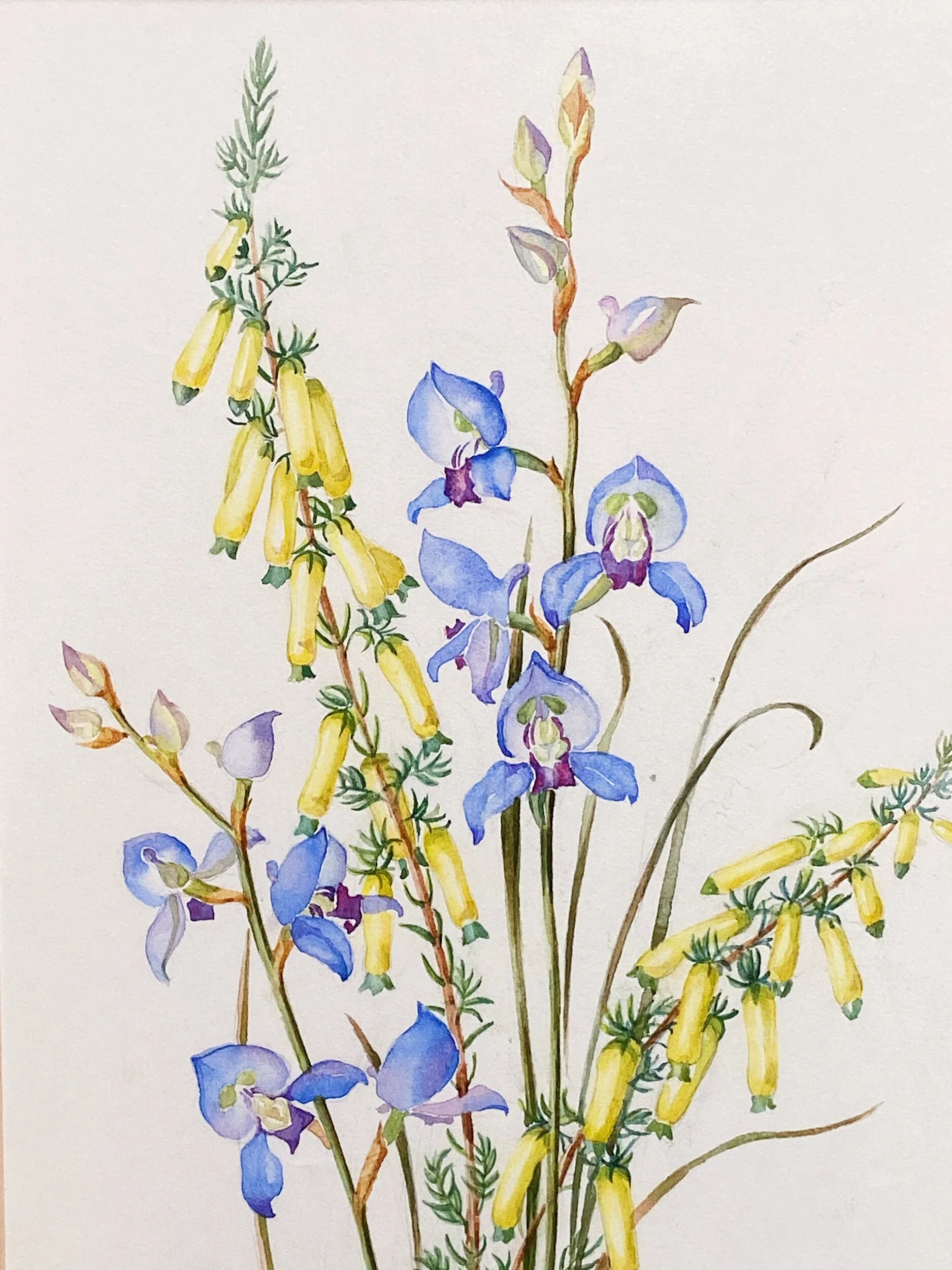 784E8713-4CF7-4820-9779-DED8B10ED226