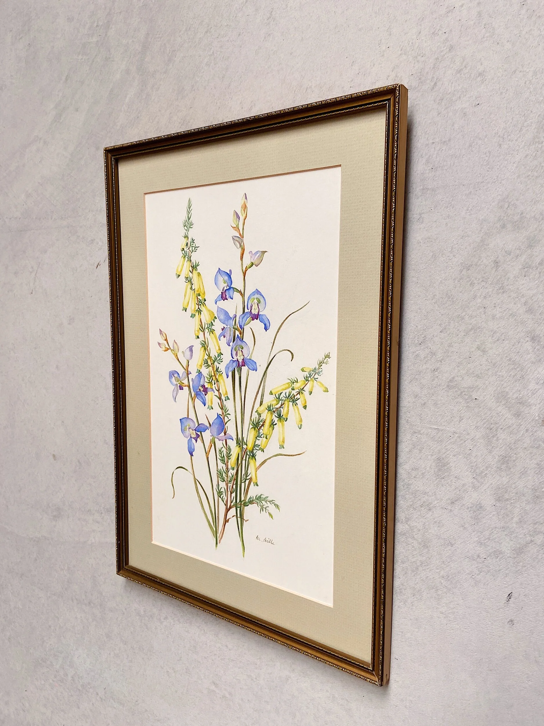 0C926C52-9F5D-446A-8CE8-5A10C29CE180