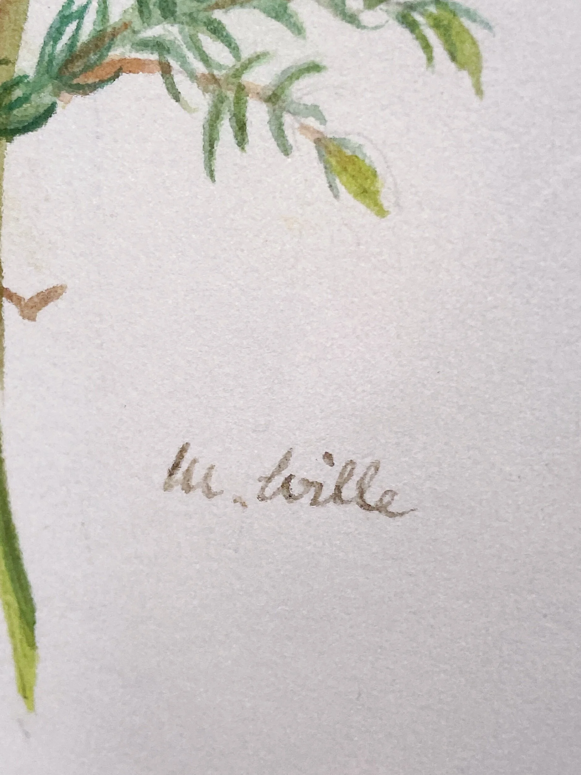 9815FD68-7DC9-47B6-B262-D6F4B610B724