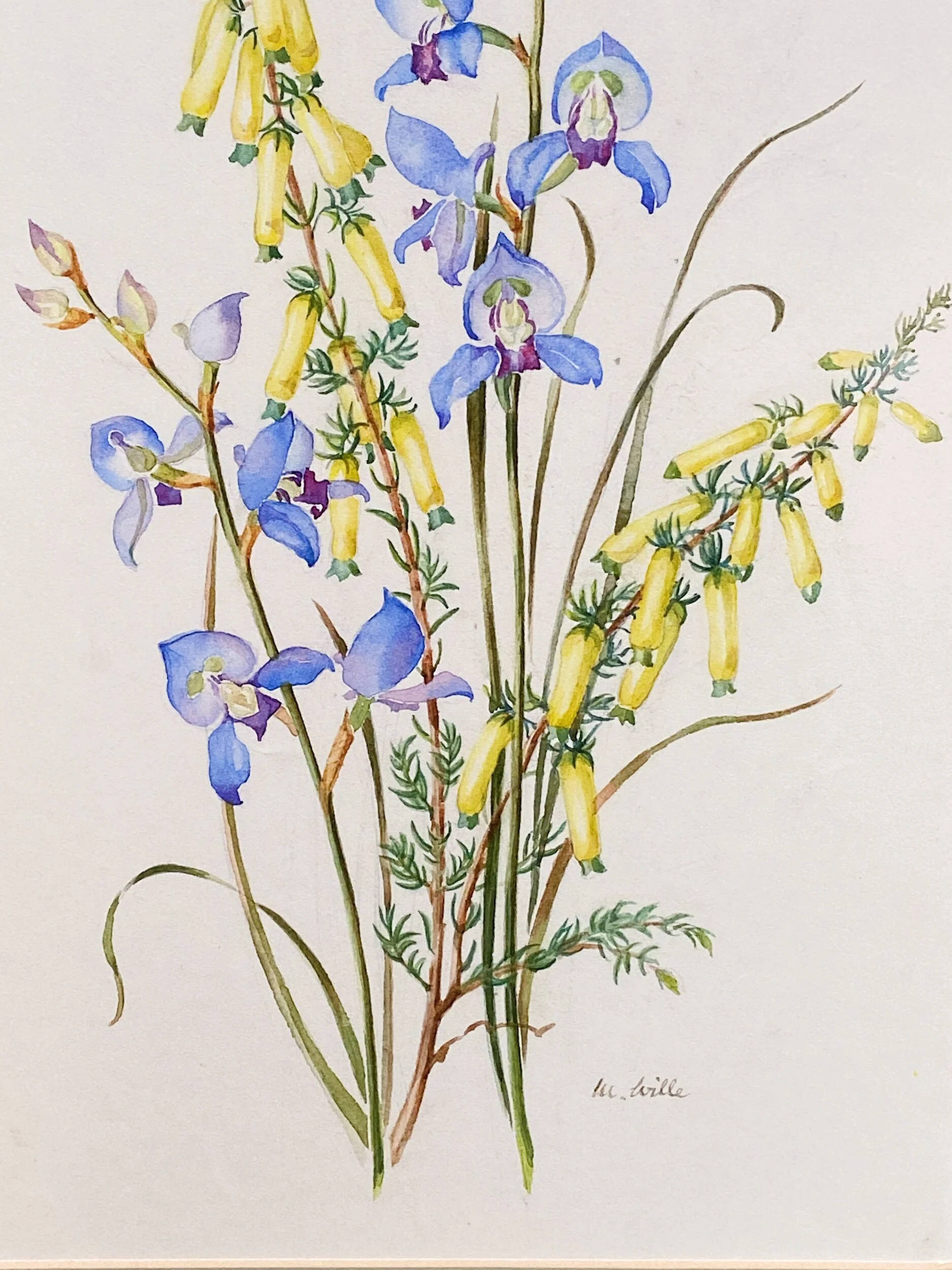 AE91E965-D87B-4450-B685-F3E92B10283F