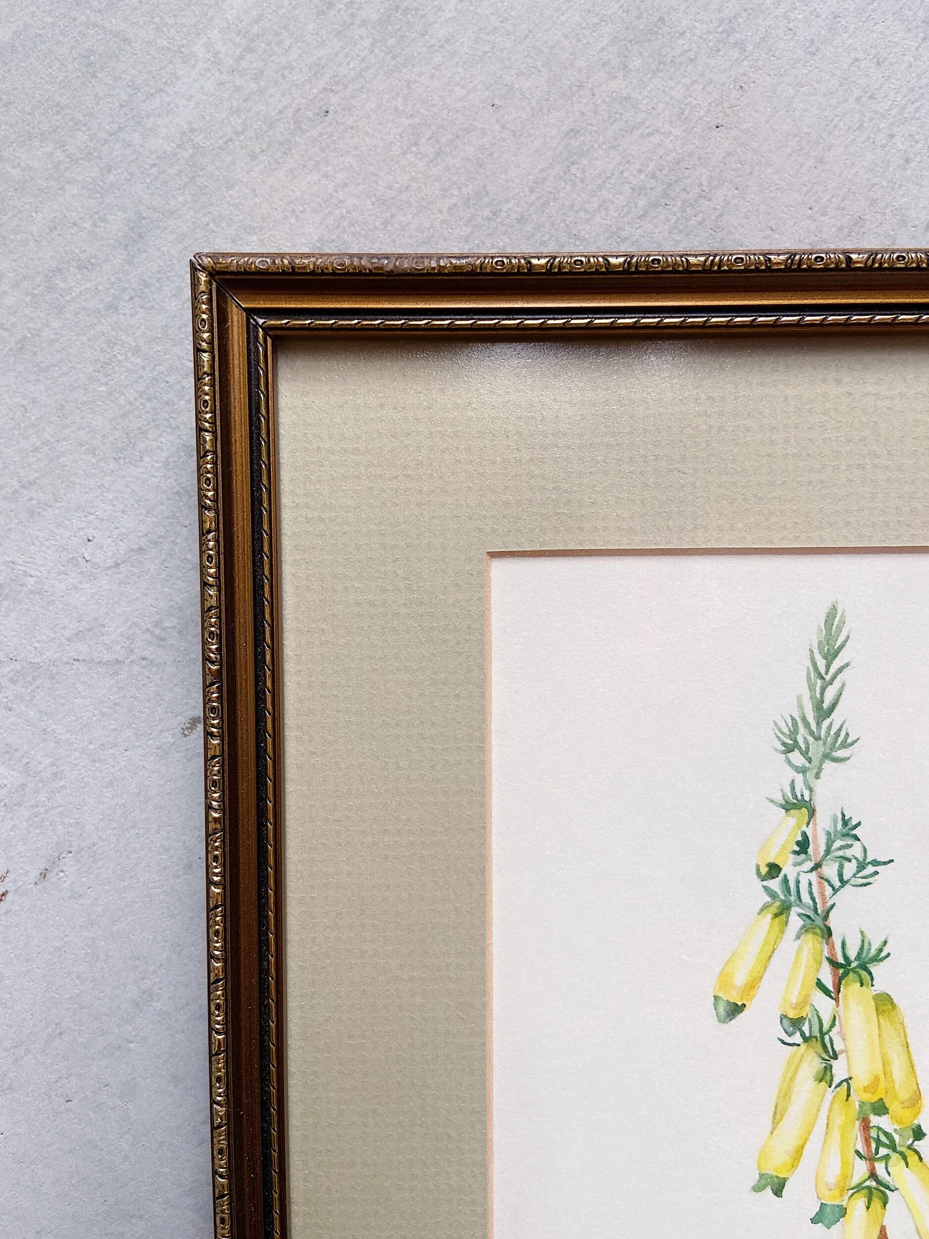 A14EB05C-2C5C-408C-9371-6419AC0E739C