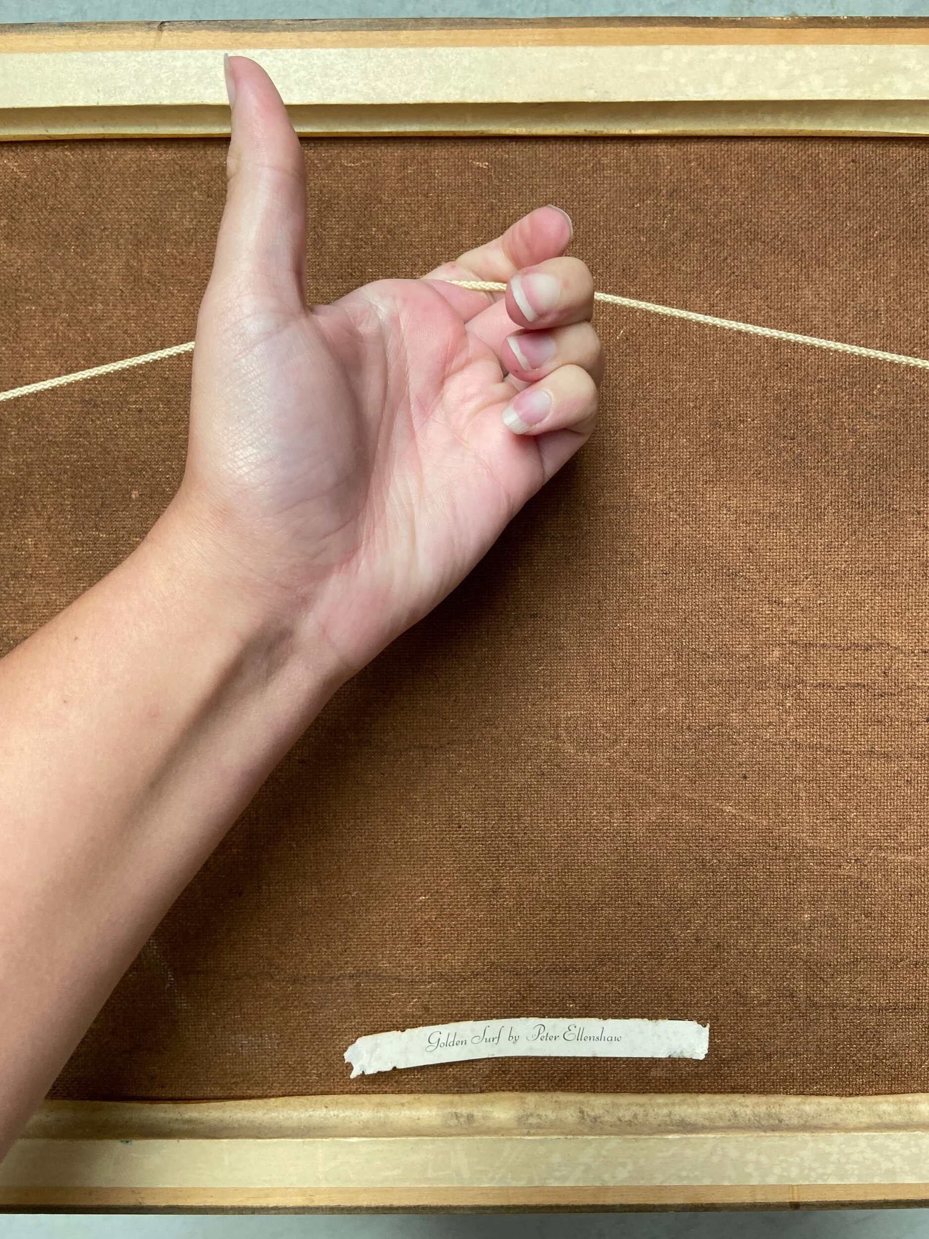 5BD95920-3B13-4CFF-A734-0EB3617BAFF9