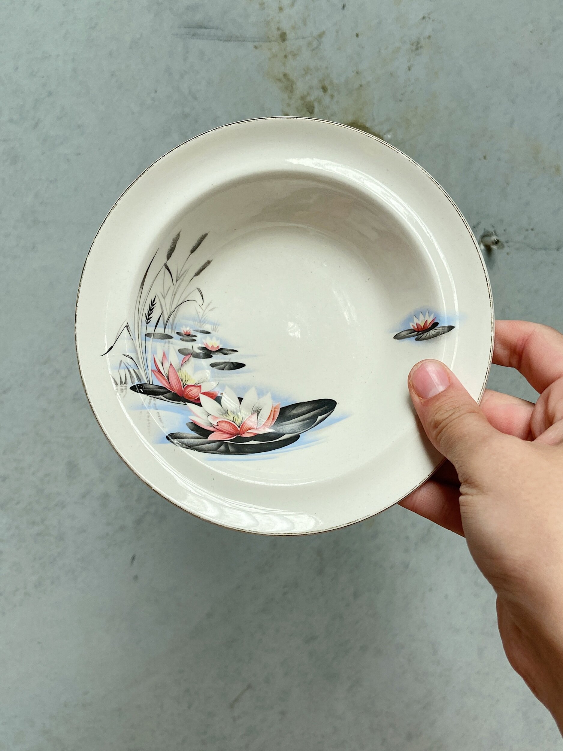 B3AC502A-BD61-47CF-82FF-0AC119A0C525