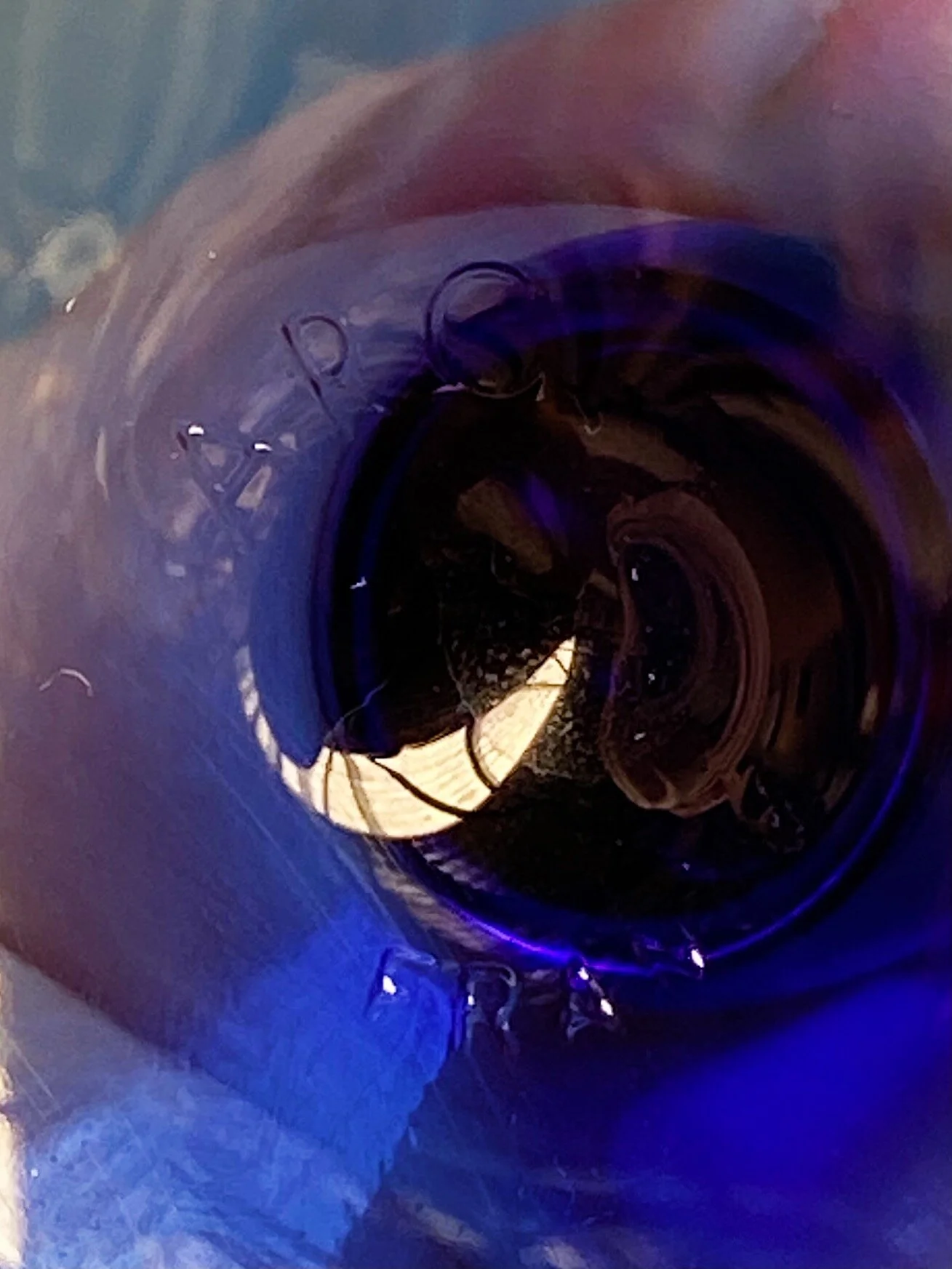 A1913A3D-1F4A-486F-A377-30074573B111