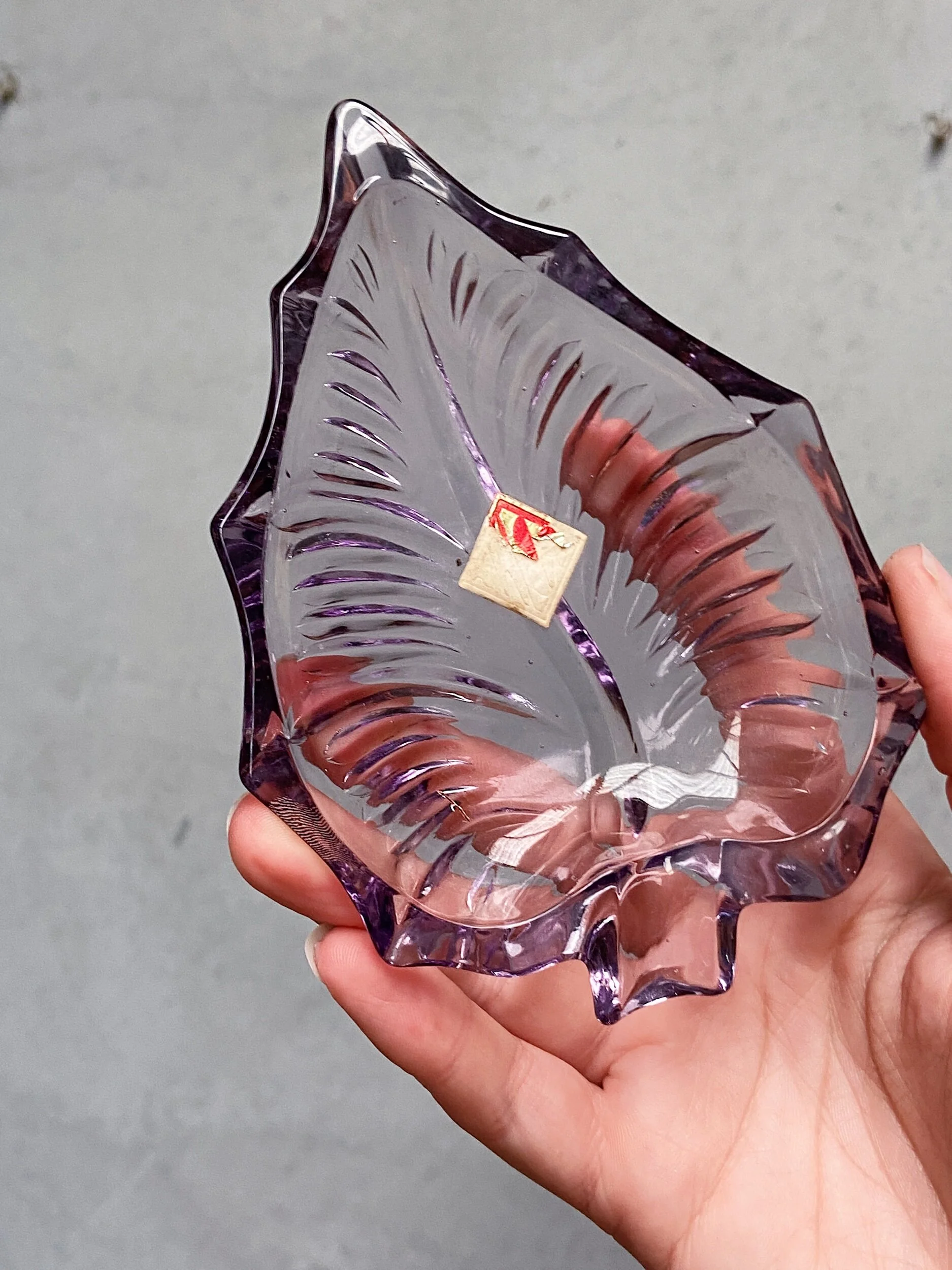 A1972A1E-12ED-4739-896F-EBBBD5C561FE