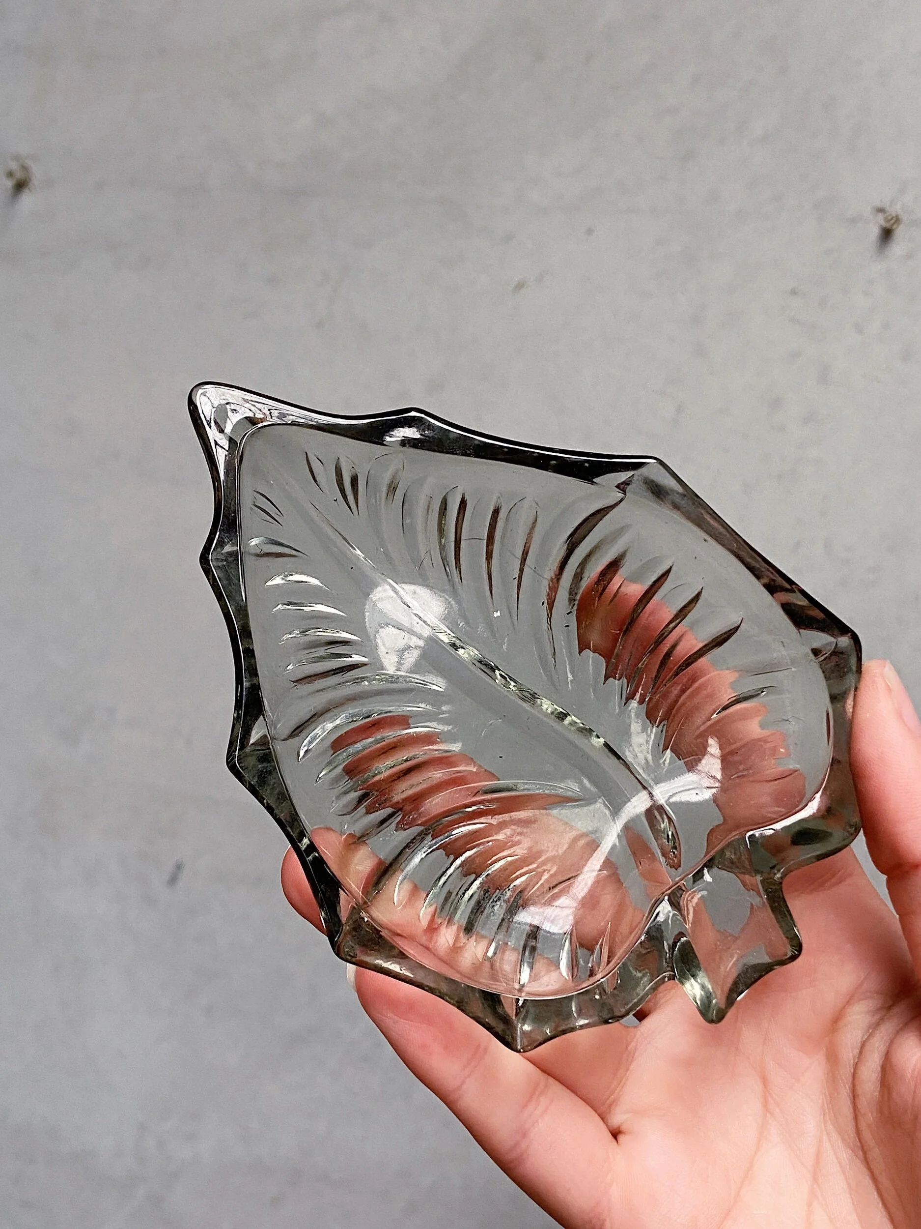 897998F9-3AC9-404D-B447-0A92397446A5