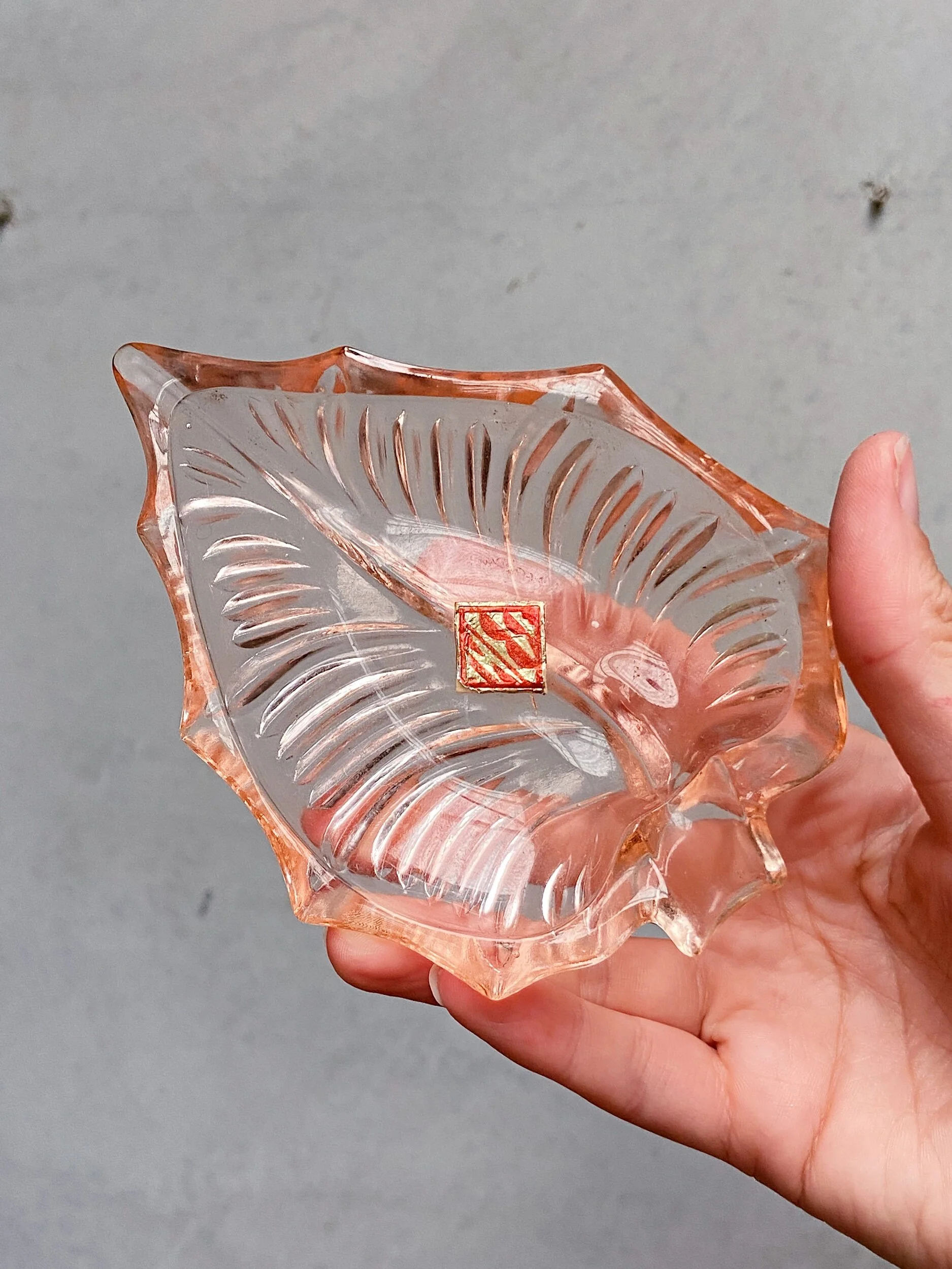 5C9FA804-EFB0-49D8-9B1E-FEBA7E4336D2