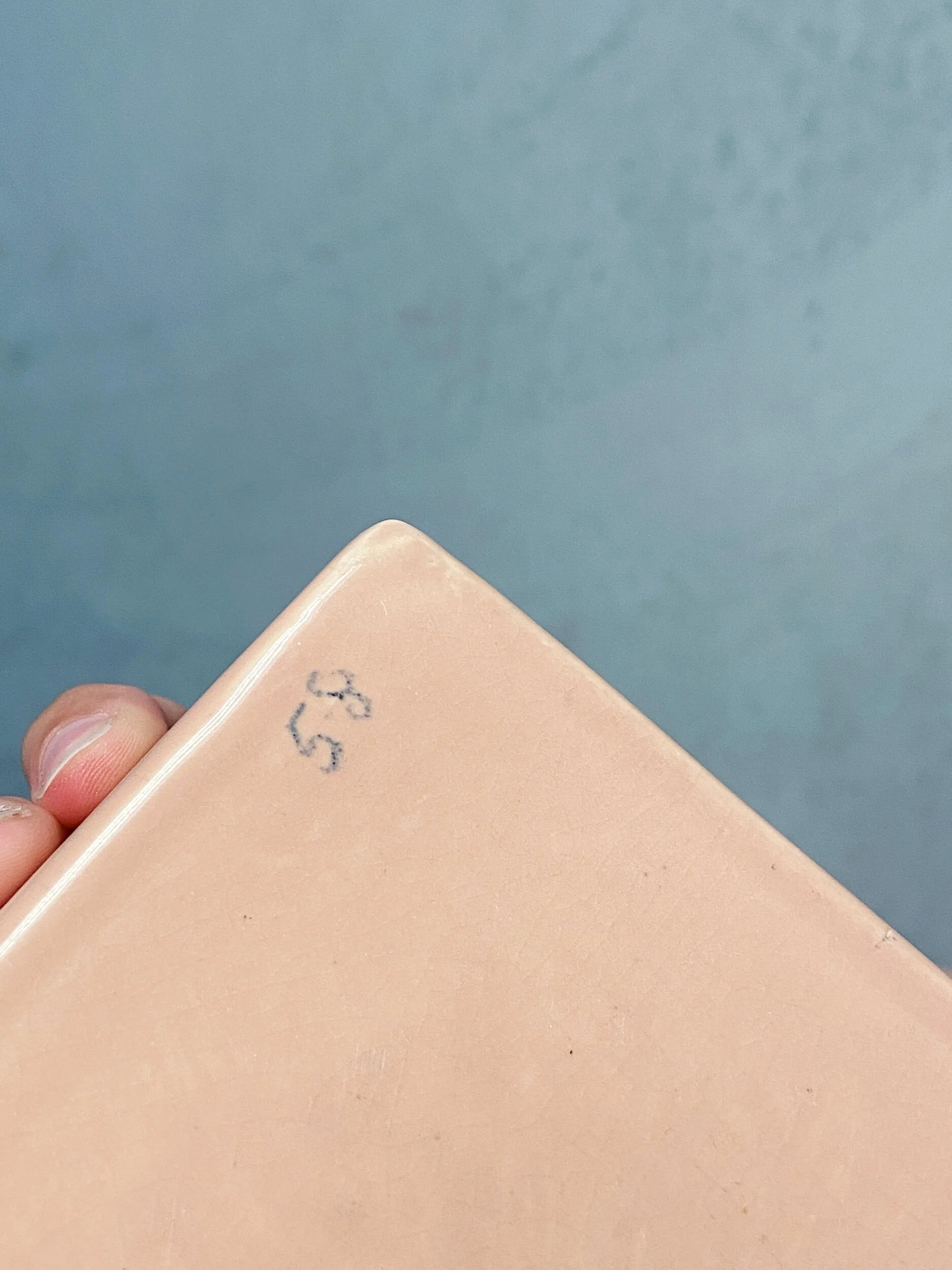 B3A85C9B-0345-414A-B31E-DE6EF01F1FD1